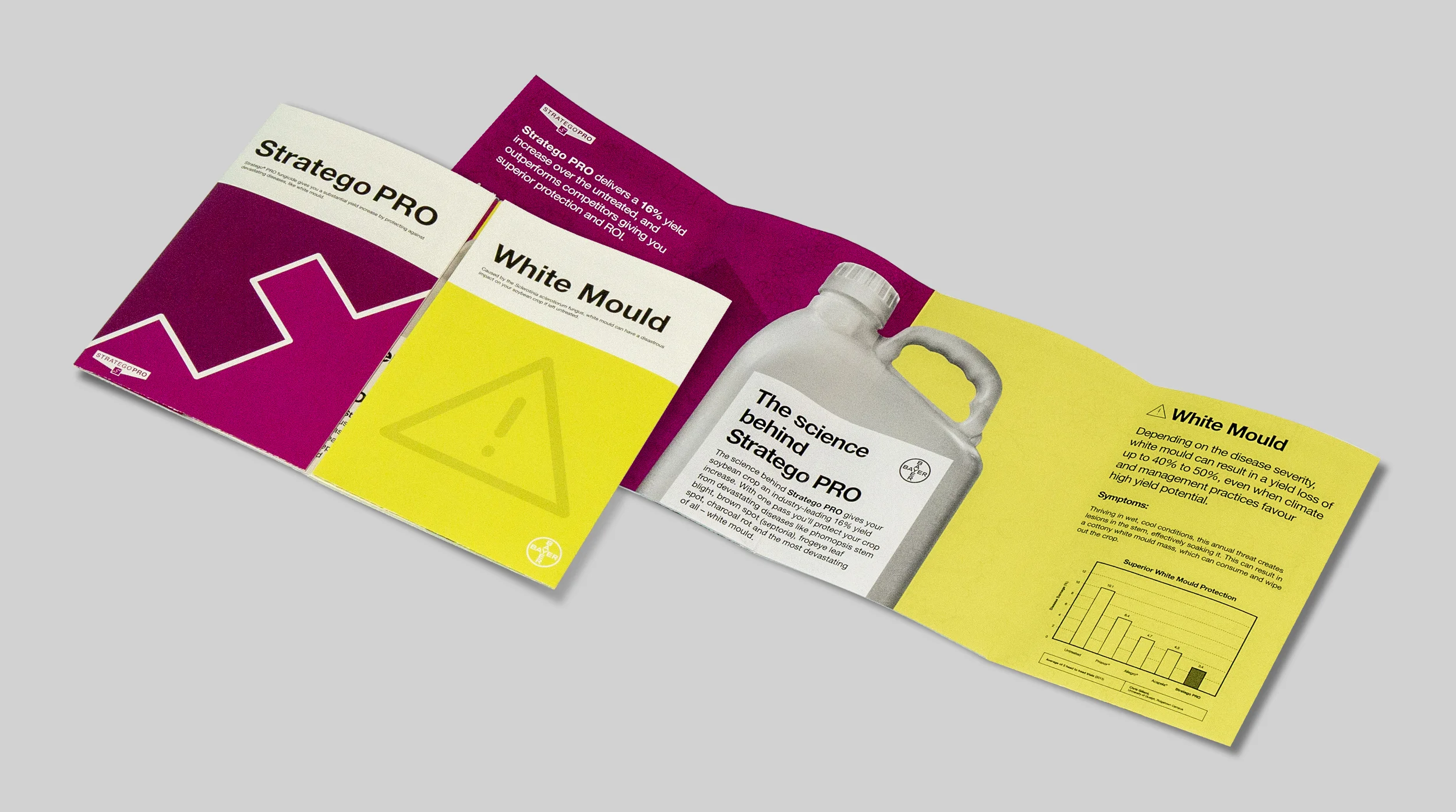 Bayer-Posters-Unfolding.jpg