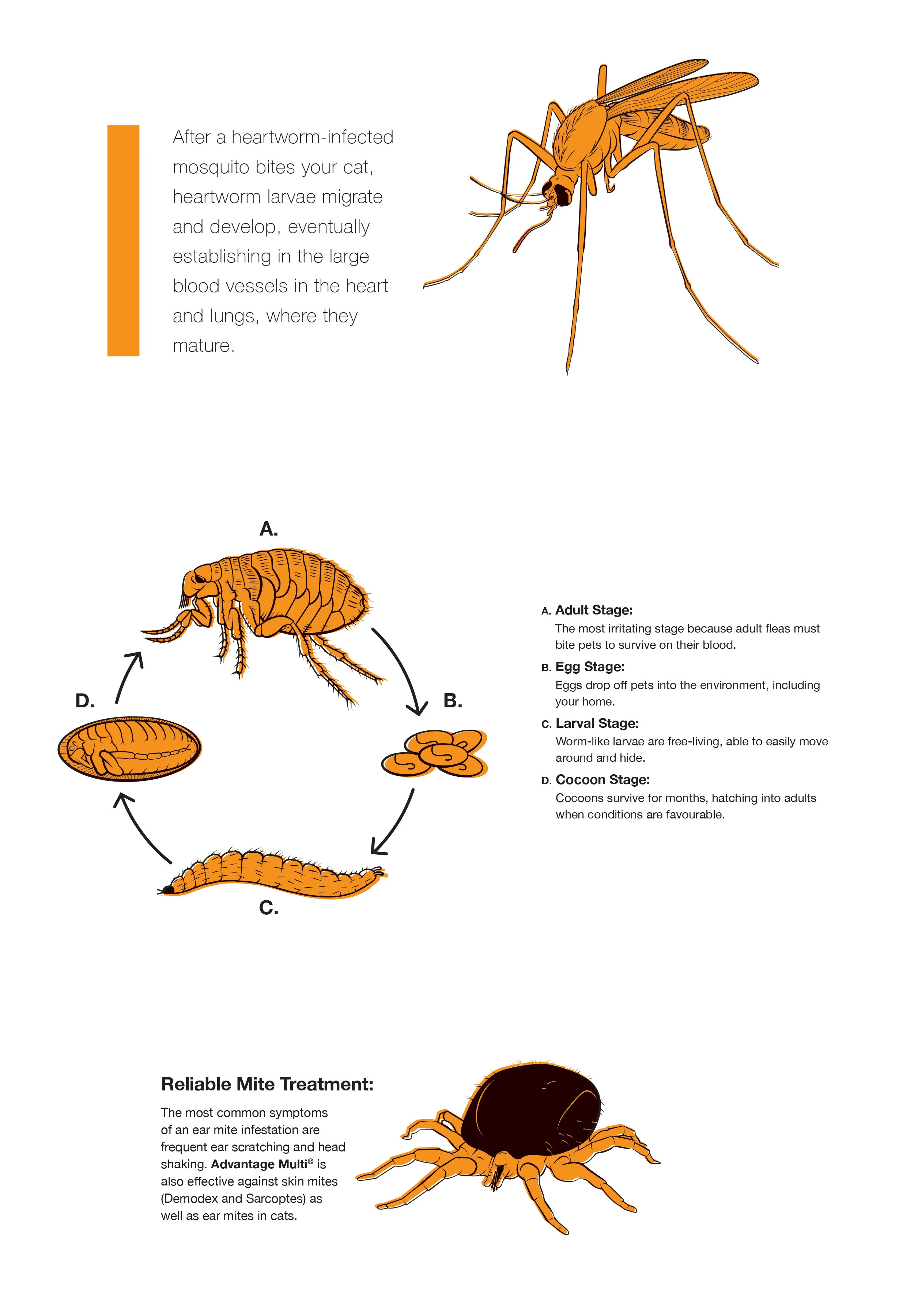 Bayer-SpotIllustrations-Portfolio.jpg