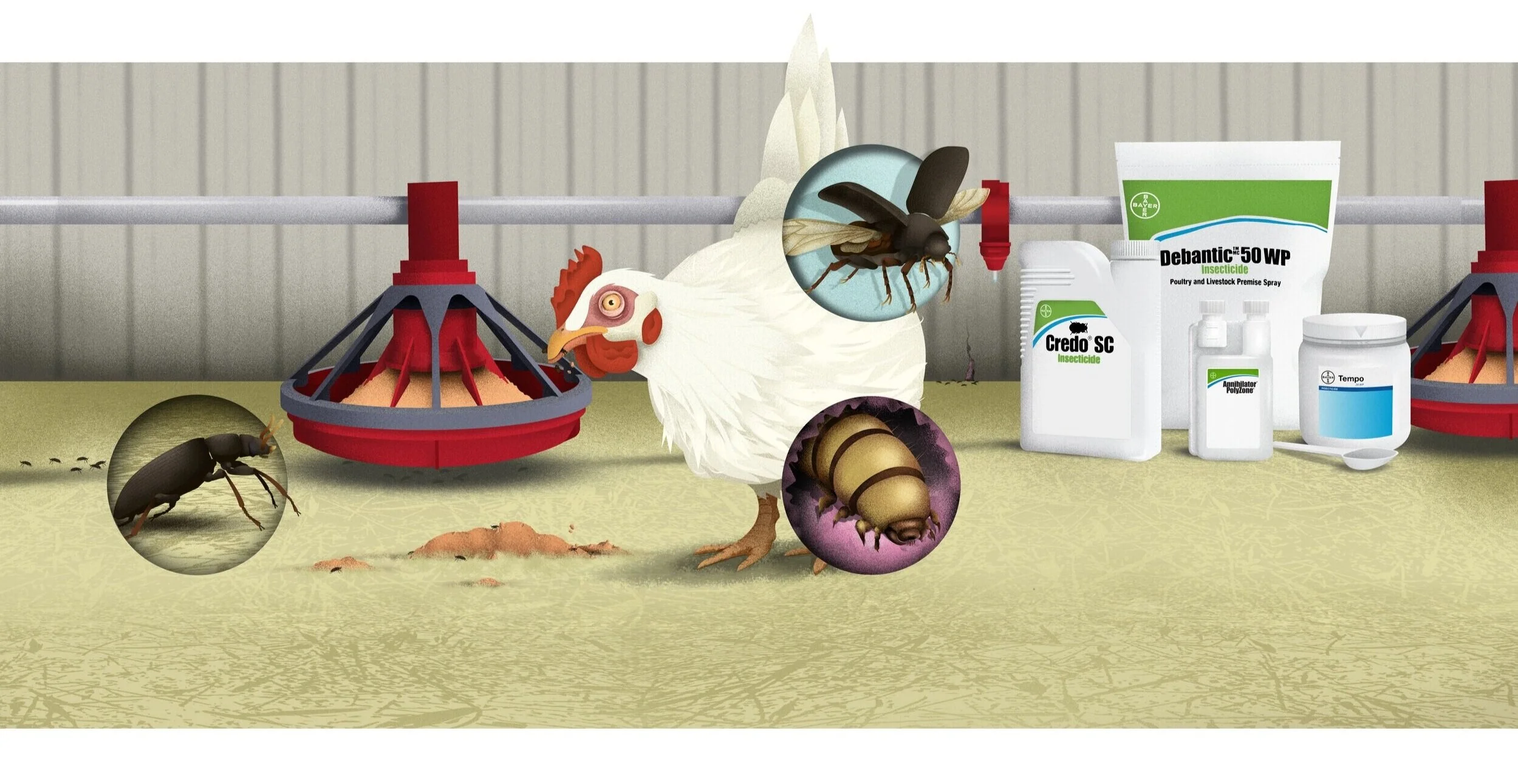 Bayer-DarklingBeelte-InsideIllustration.jpg