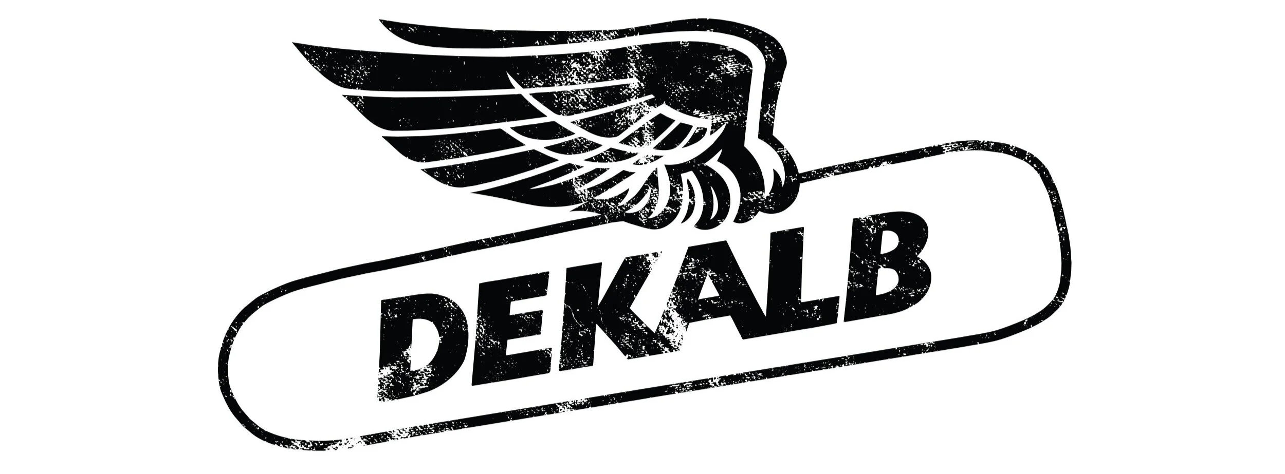 swAG-Portfolio-DekalbWings.jpg
