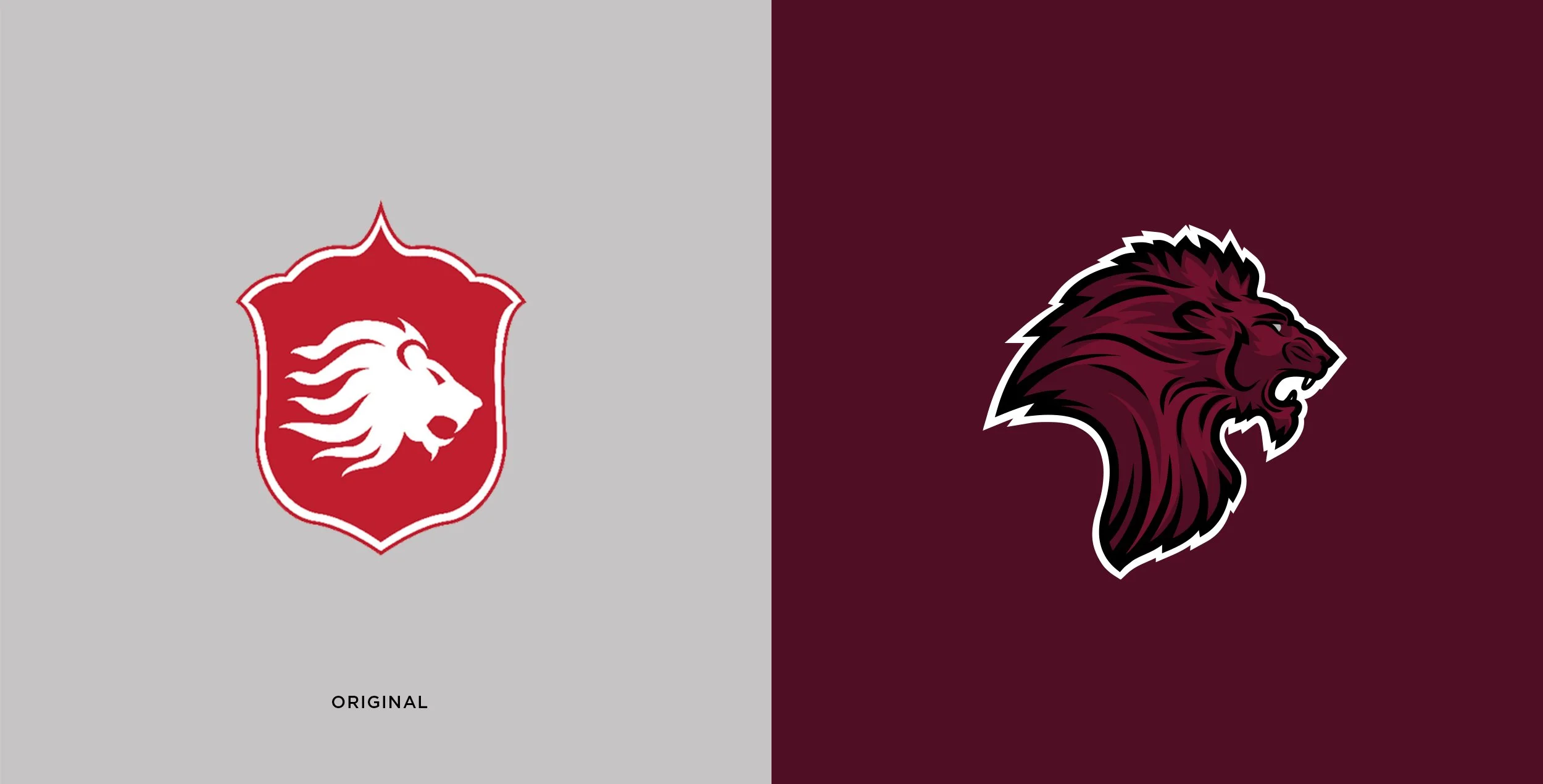 Squarespace-2022-LionShield-REFRESH.jpg
