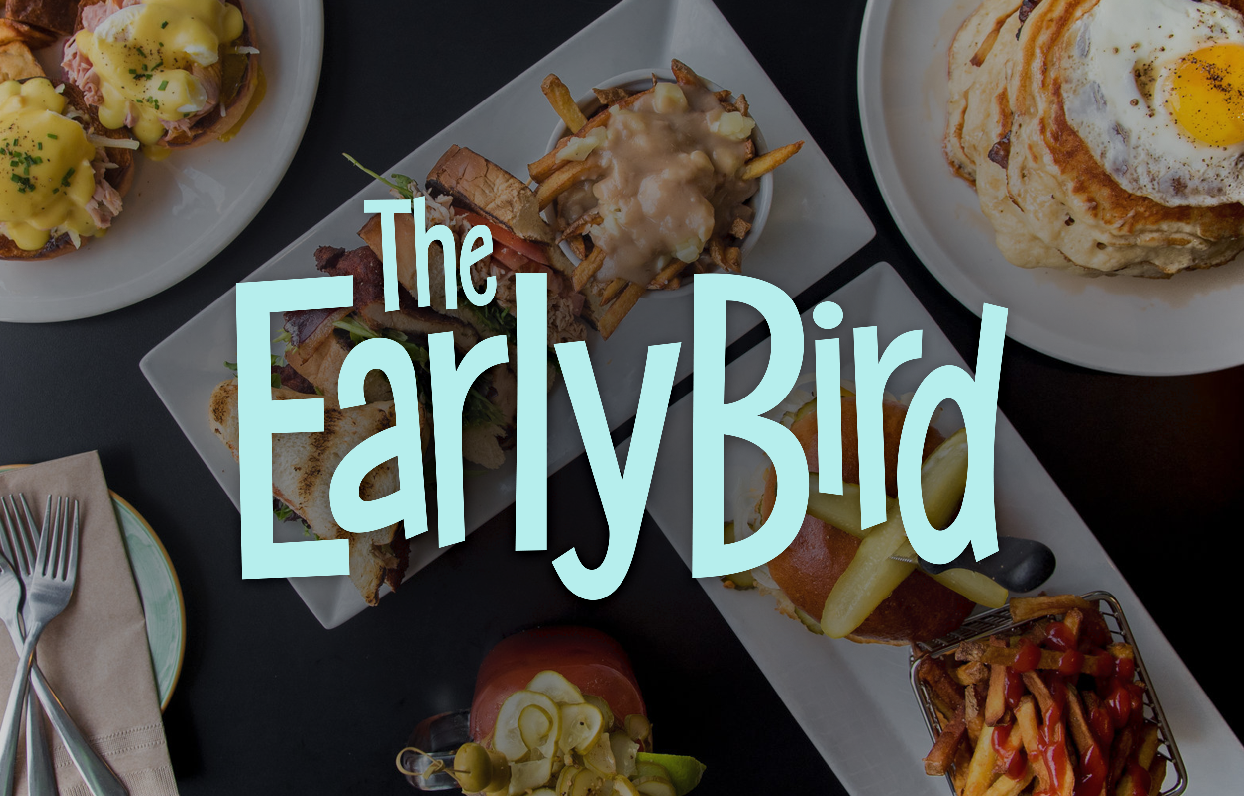 Squarespace-TheEarlyBird-Logo.png