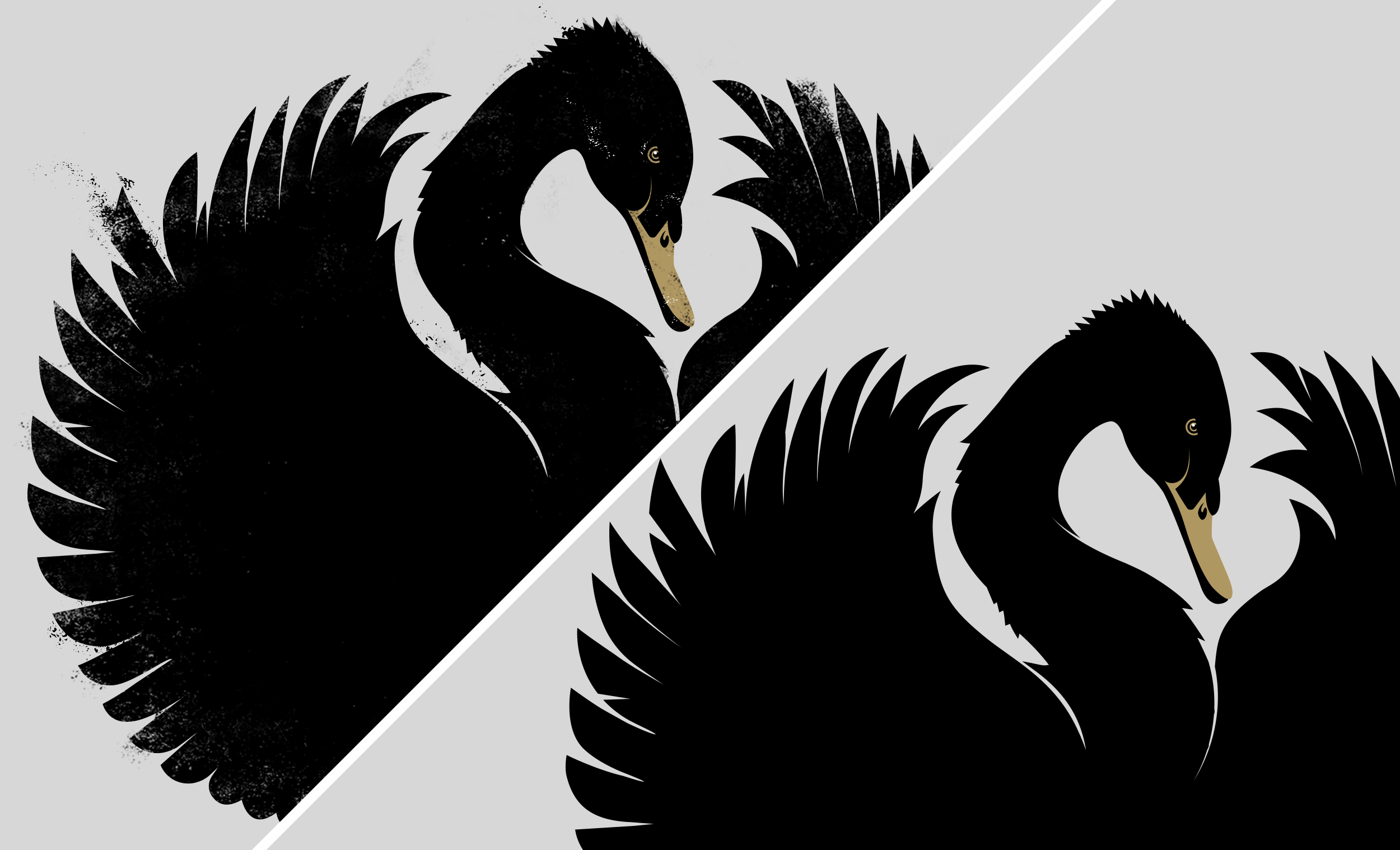 BHLA-Swan-Textures-Squarespace.png
