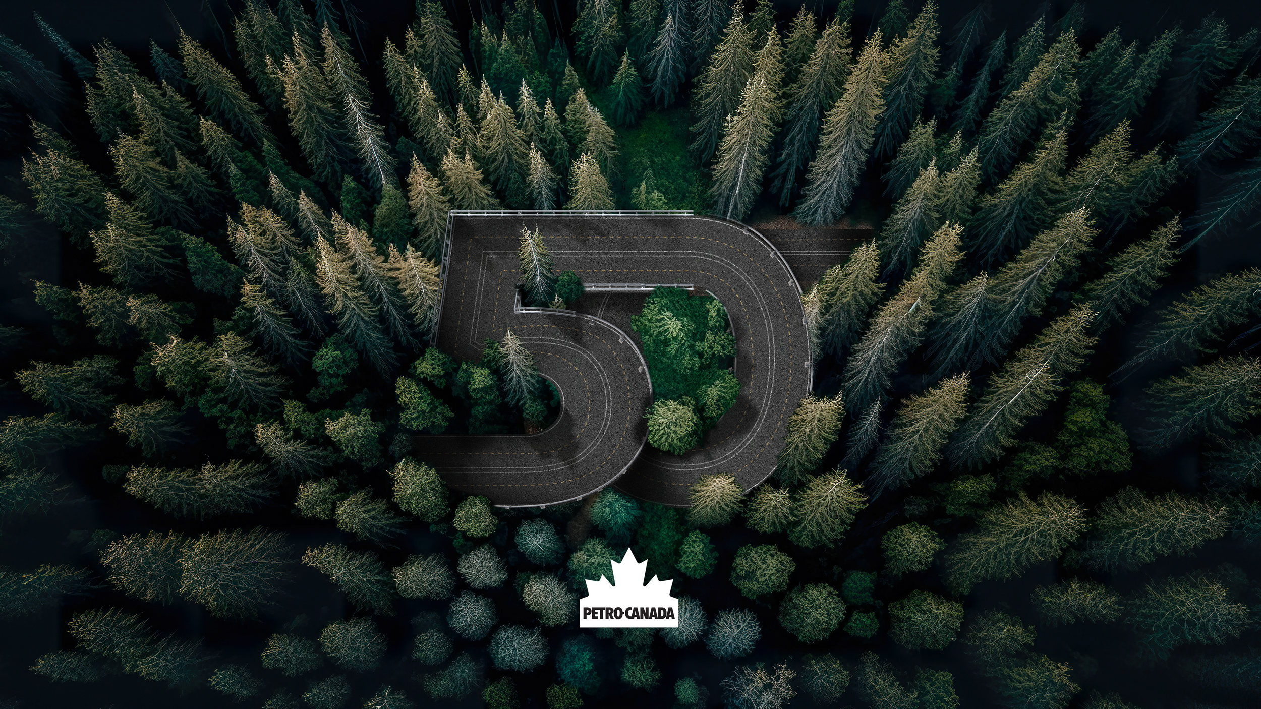 Petro50-Squarespace-Forest.png