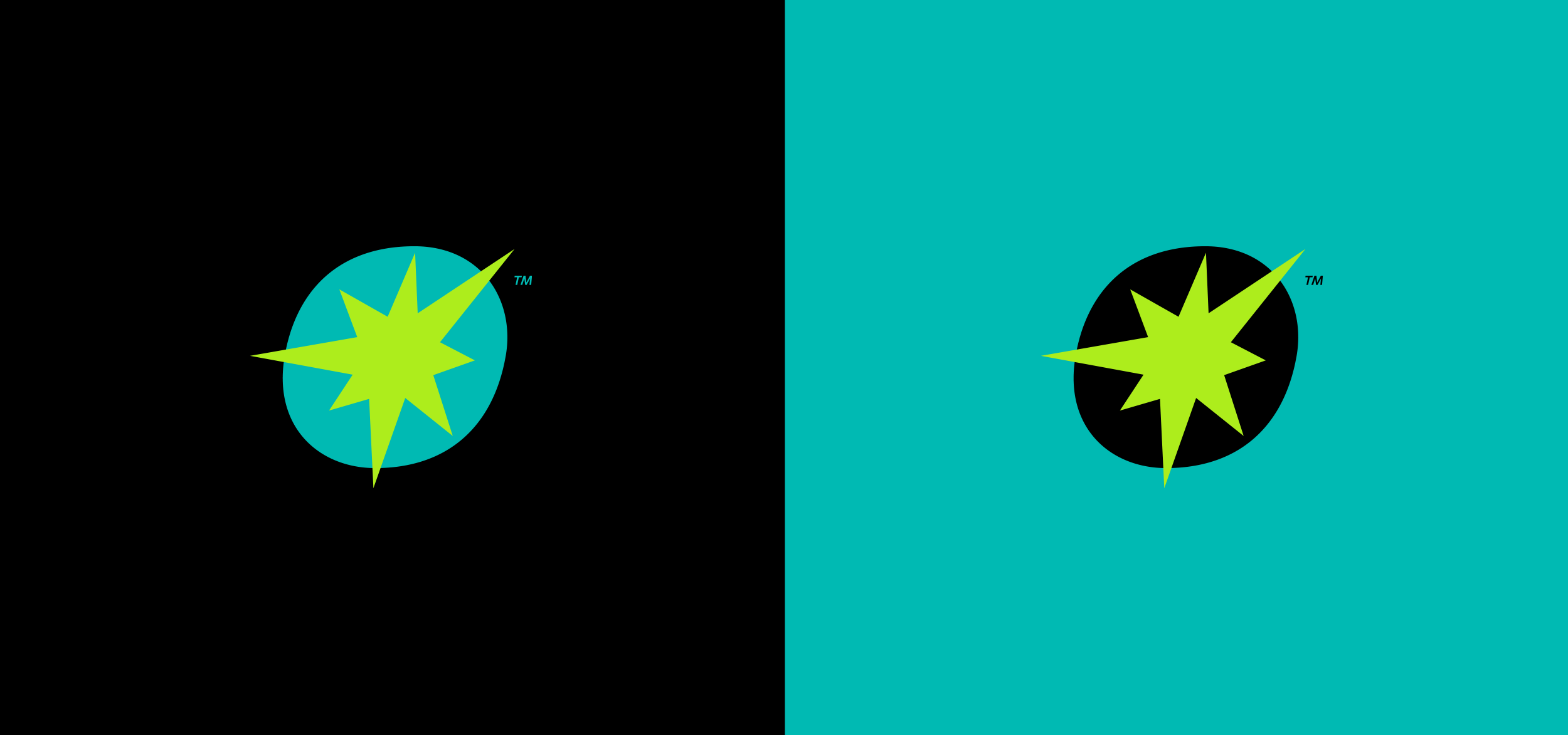 ATCO-Squarespace-Spark-PosRev.png