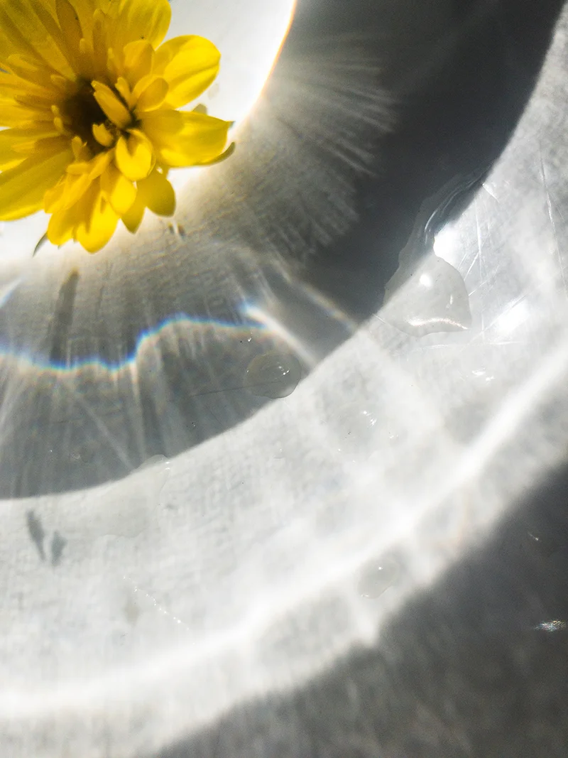 Yellow-1.jpg
