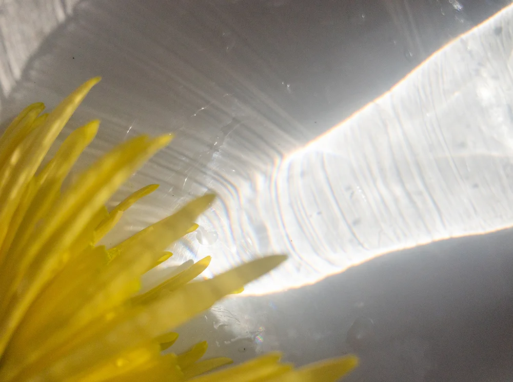 Yellow-2.jpg