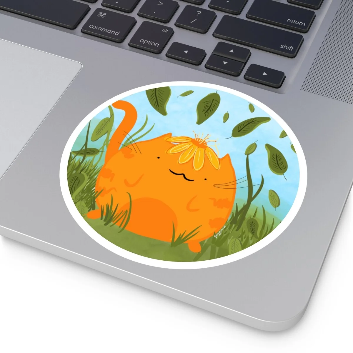 edad55123520ff3a25c41ca63b818bc0