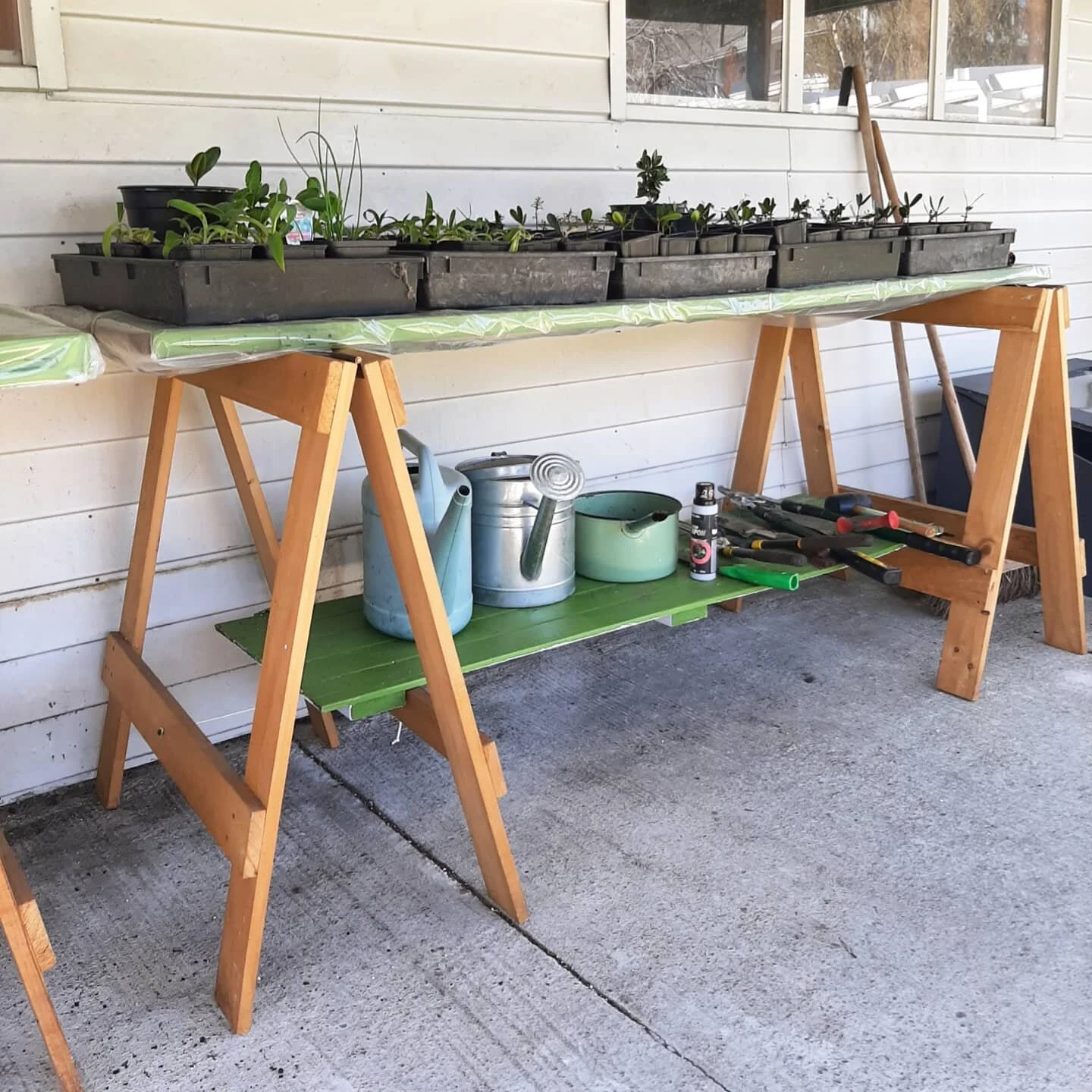 So excited to have this new DIY potting up space! We bought a few trestle legs off trademe and re painted some old doors that were left with the house in a beautiful @resenecolour 'Leaf' green. (and wrapped them in clear polyethylene for a little extra protection). Its already proving to be a great little work space which we love spending time in!

The cuttings I took a few months ago are all potted up (swipe to see new leaflets forming!) and new cuttings are around the corner in a more shady spot. An easy way to grow your own plants for landscaping on a budget! 🌿🌿🌿

#pottingup #pottinguptable