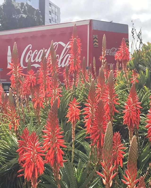 Be bold! orange and red look good together. They are next to each other on the colour wheel Thanks for the inspo Coke van and Aloe 🙌🔥