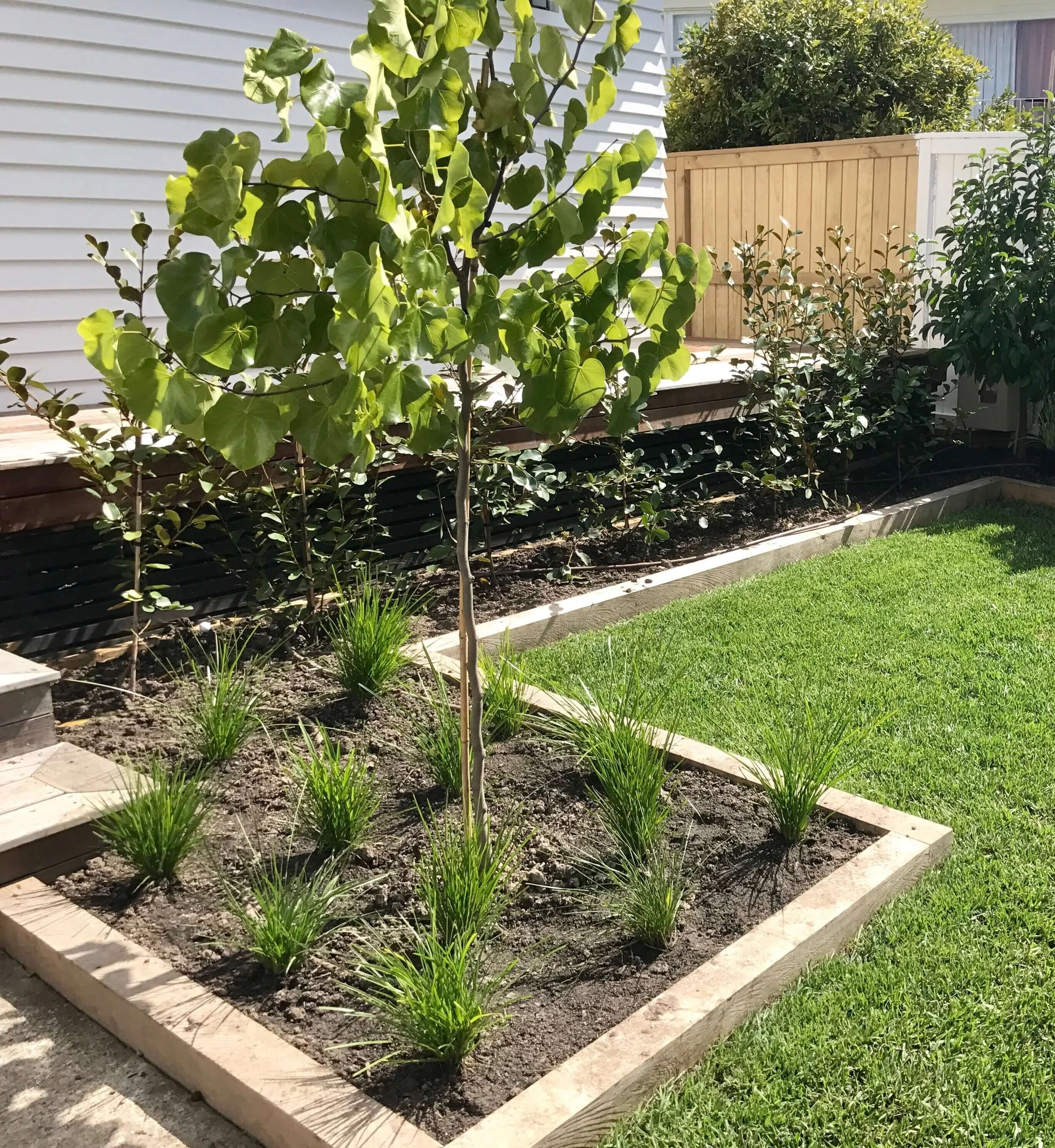 FullSizeRender 2.jpeg