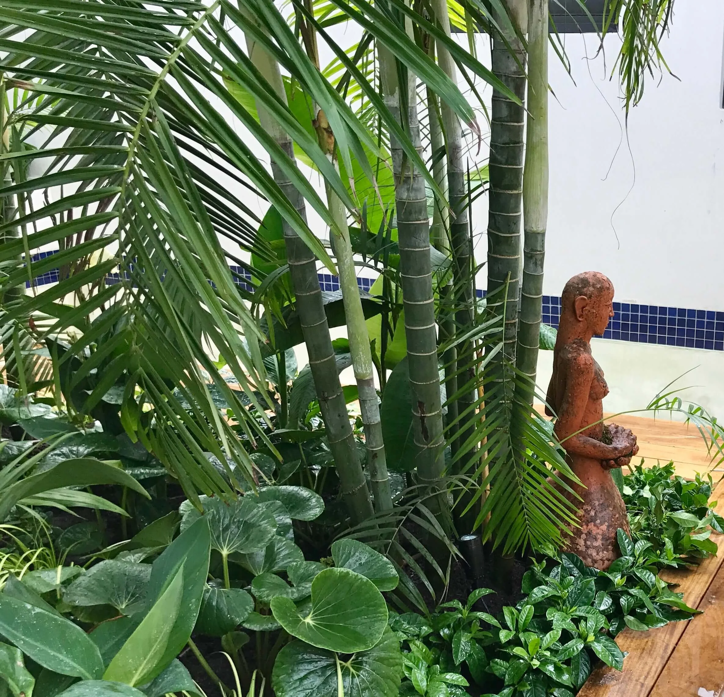 parnell after 2. 4.jpg