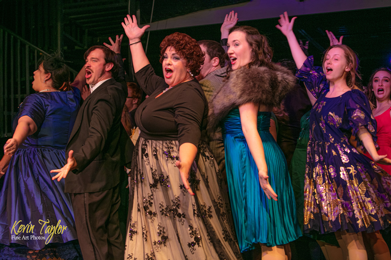 PLANT CITY ENTERTAINMENT | CURTAINS