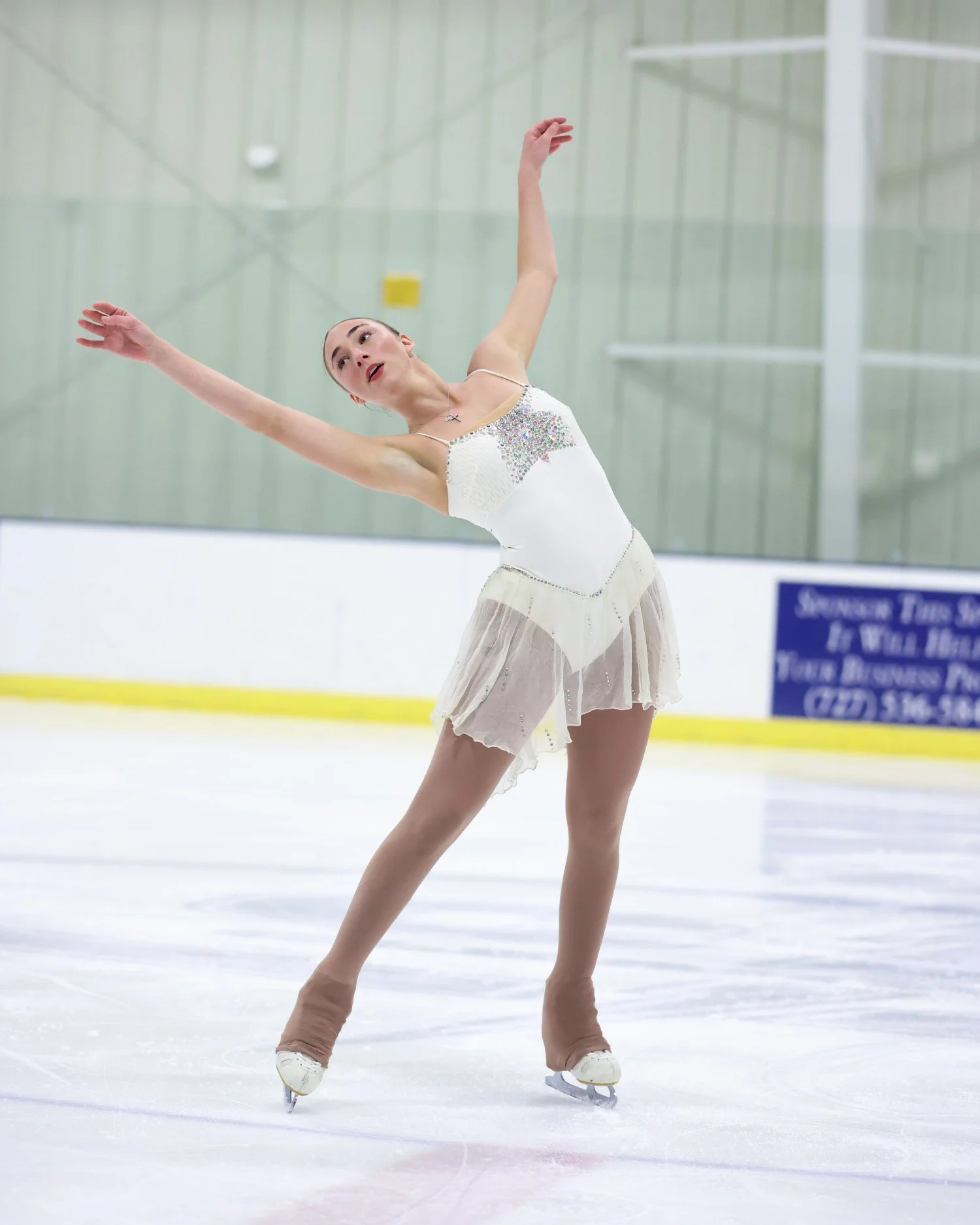 Artistic Figure Skating Performance