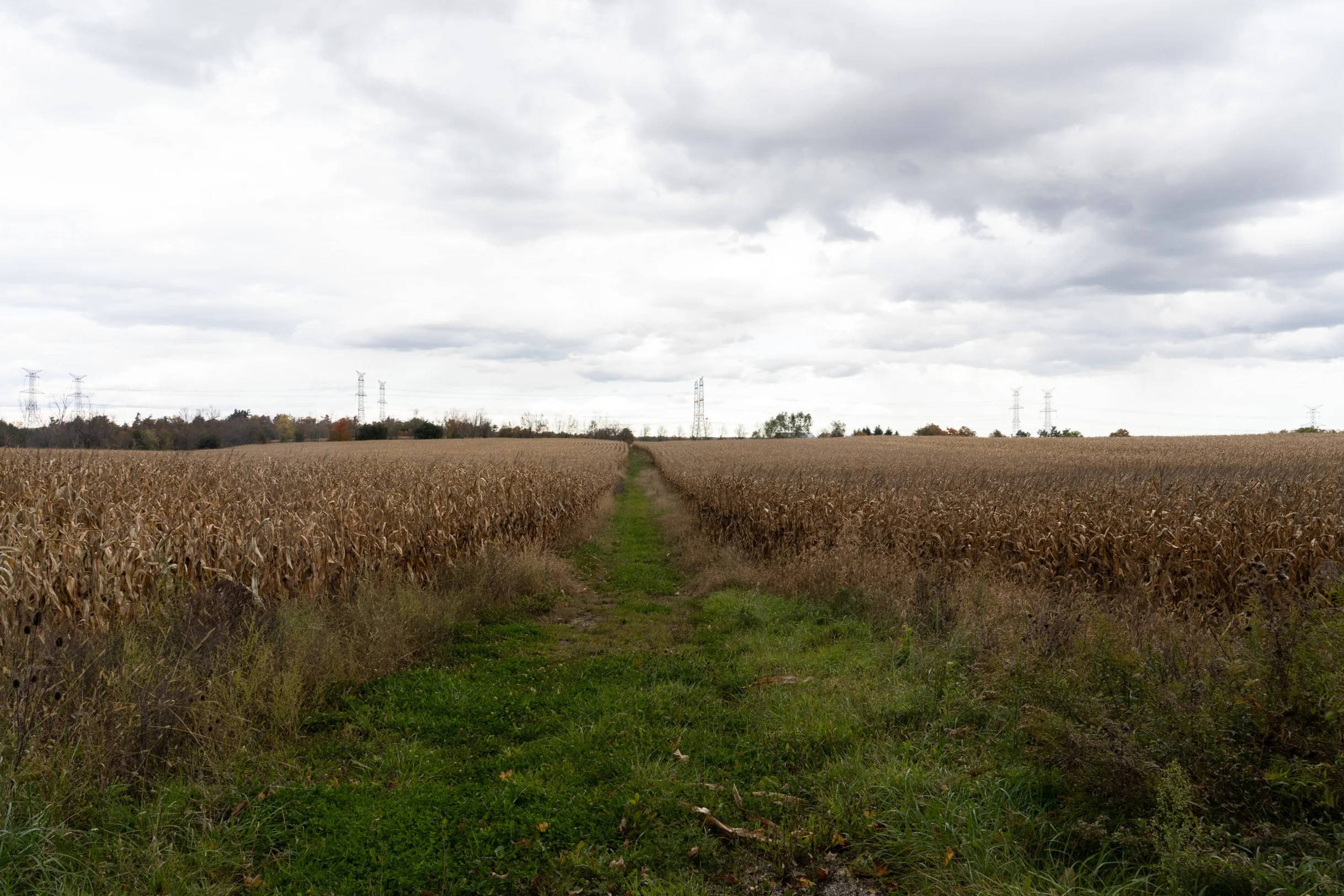 DSC04844.jpg
