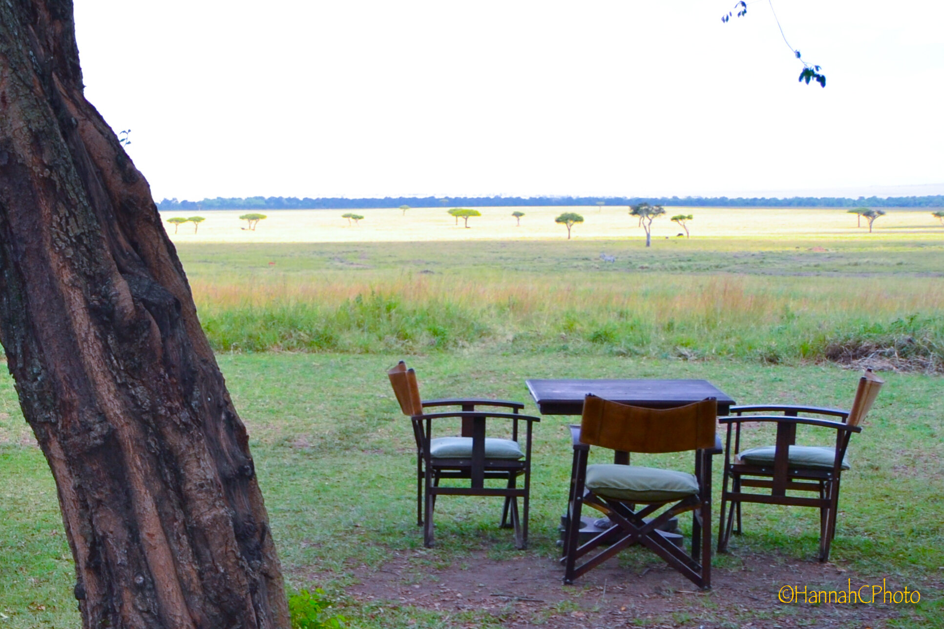 masai dining room.jpg