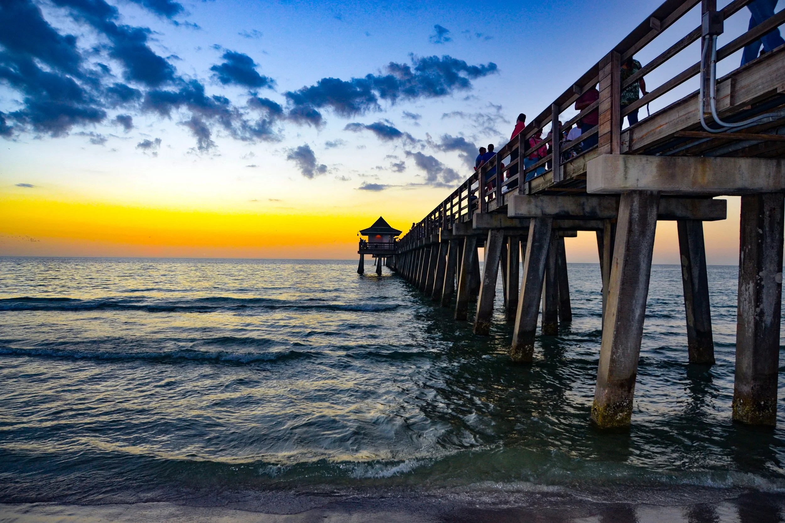 DSC_0016.jpg