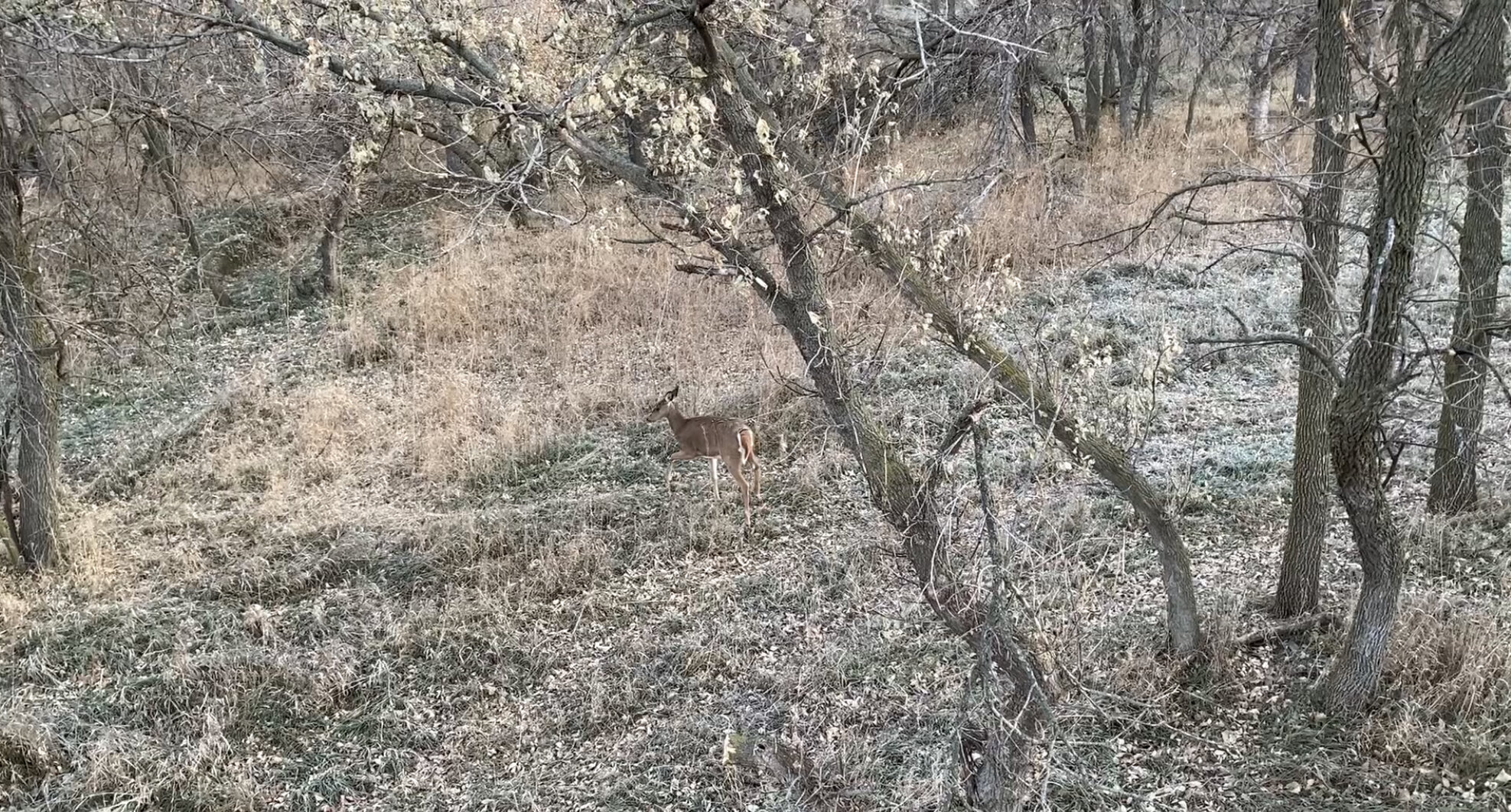 The view in front of the “two man” stand at Turkey Creek