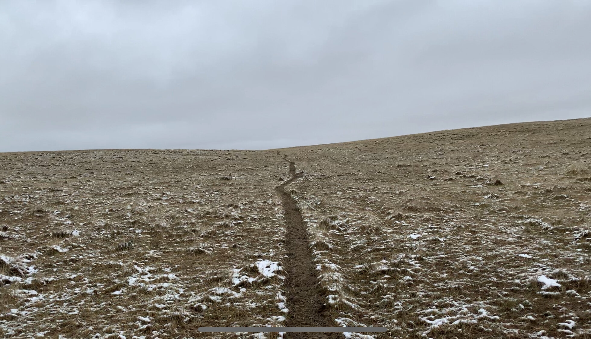 The cattle trail leading towards the buck