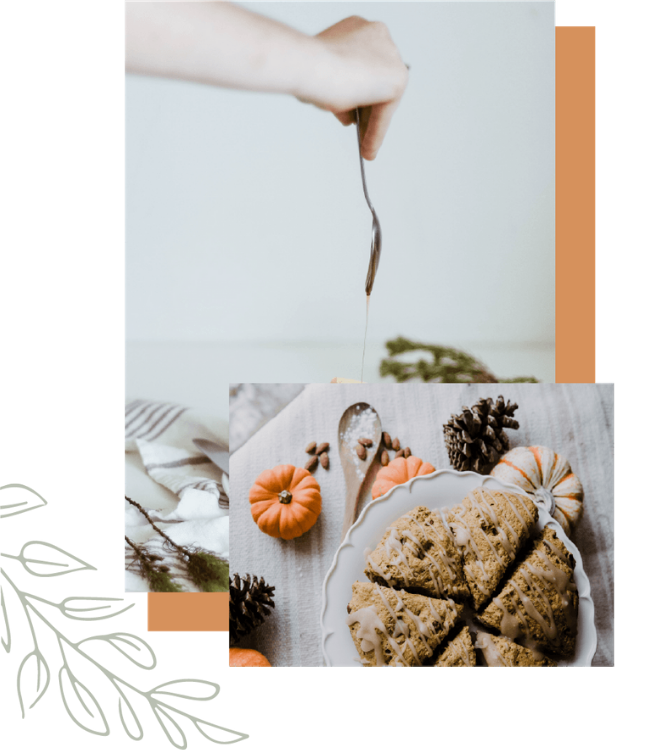 healthy recipes