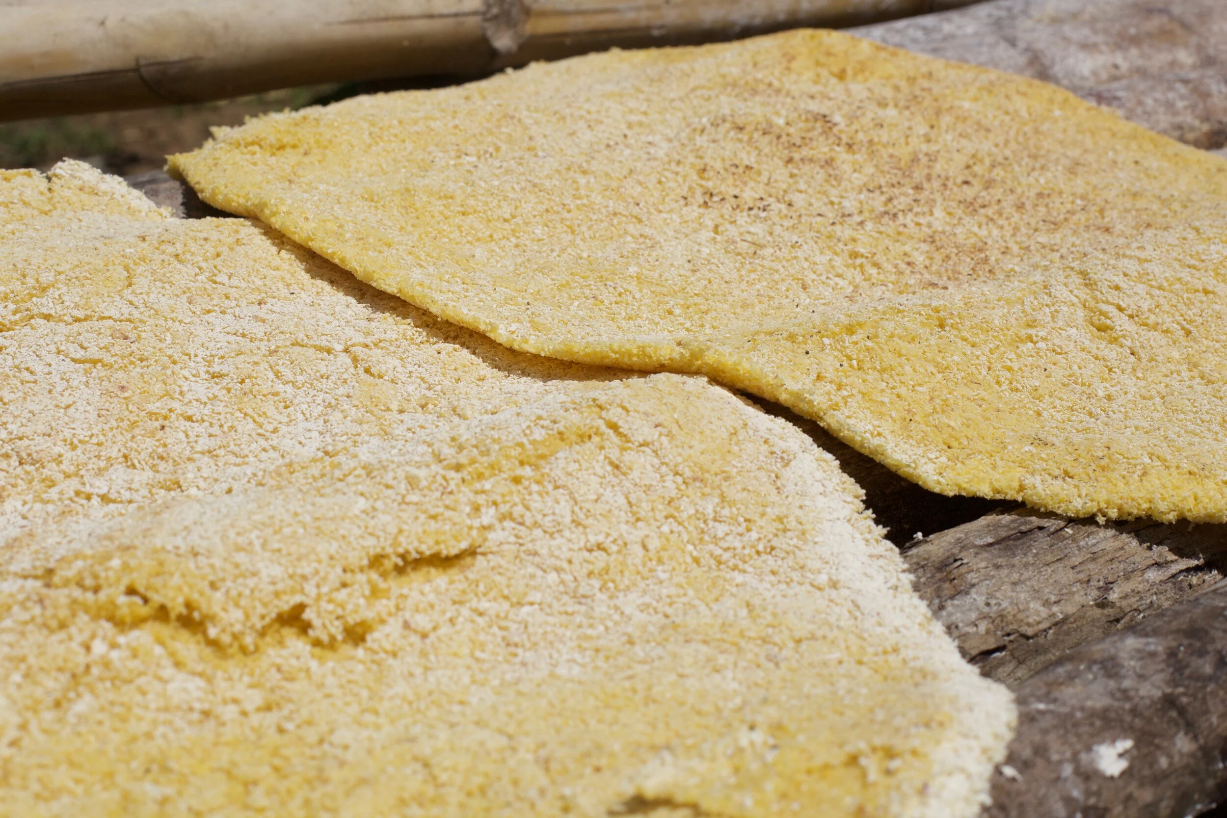 La yuca brava — Etnollano