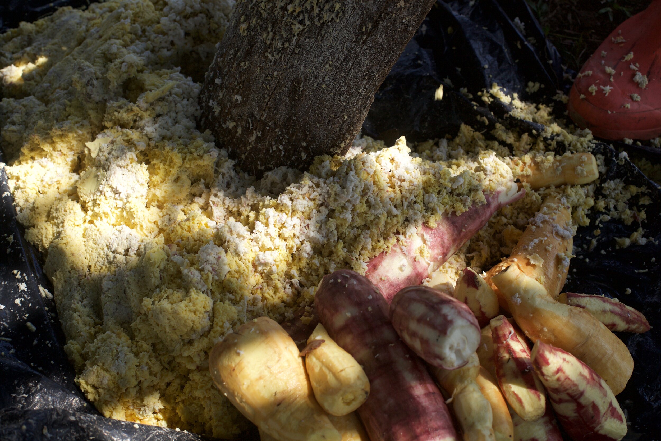 La yuca brava — Etnollano