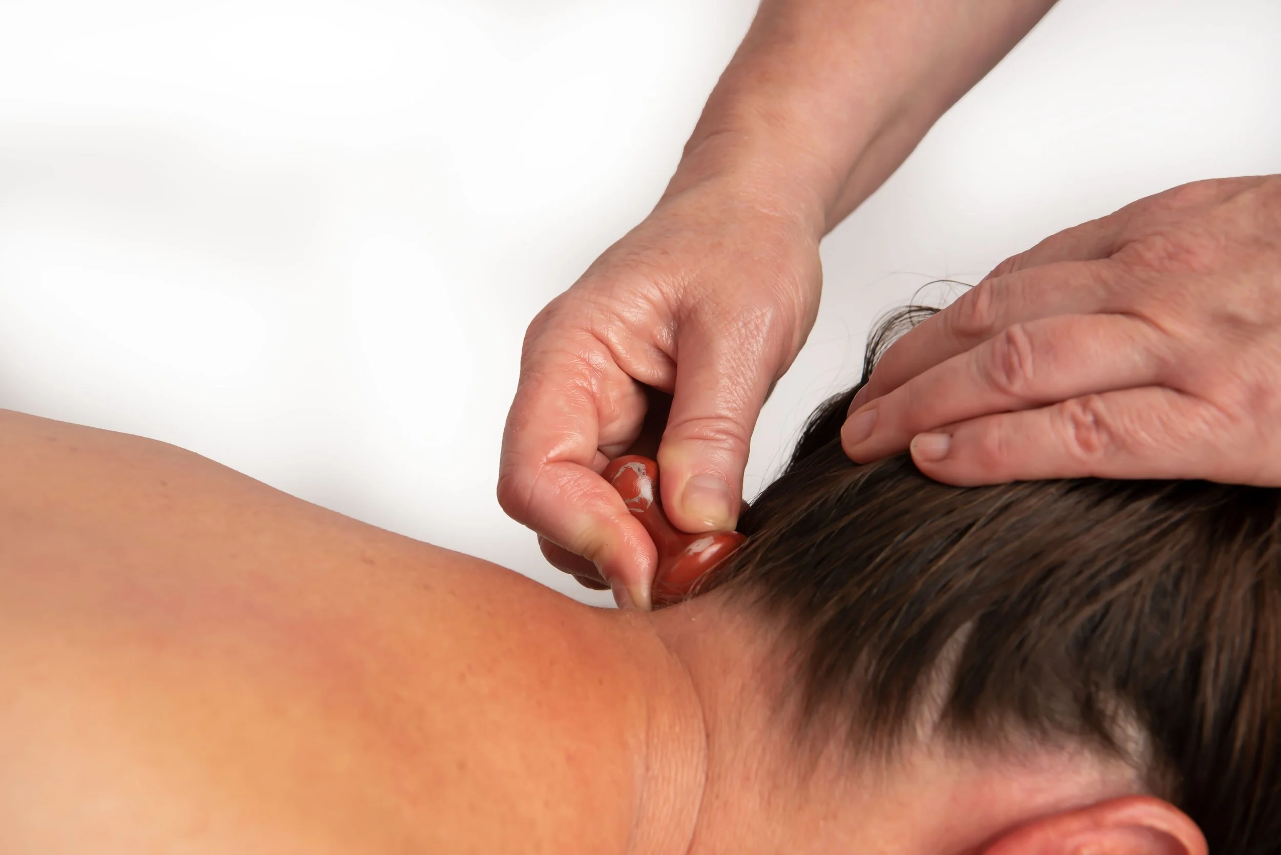 Knots Begone Service (Print)34.jpg