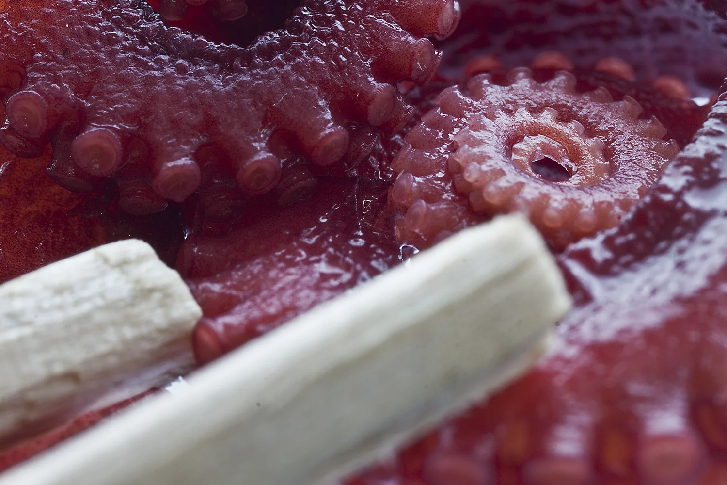 05_Jordan_C_Food_1.jpg
