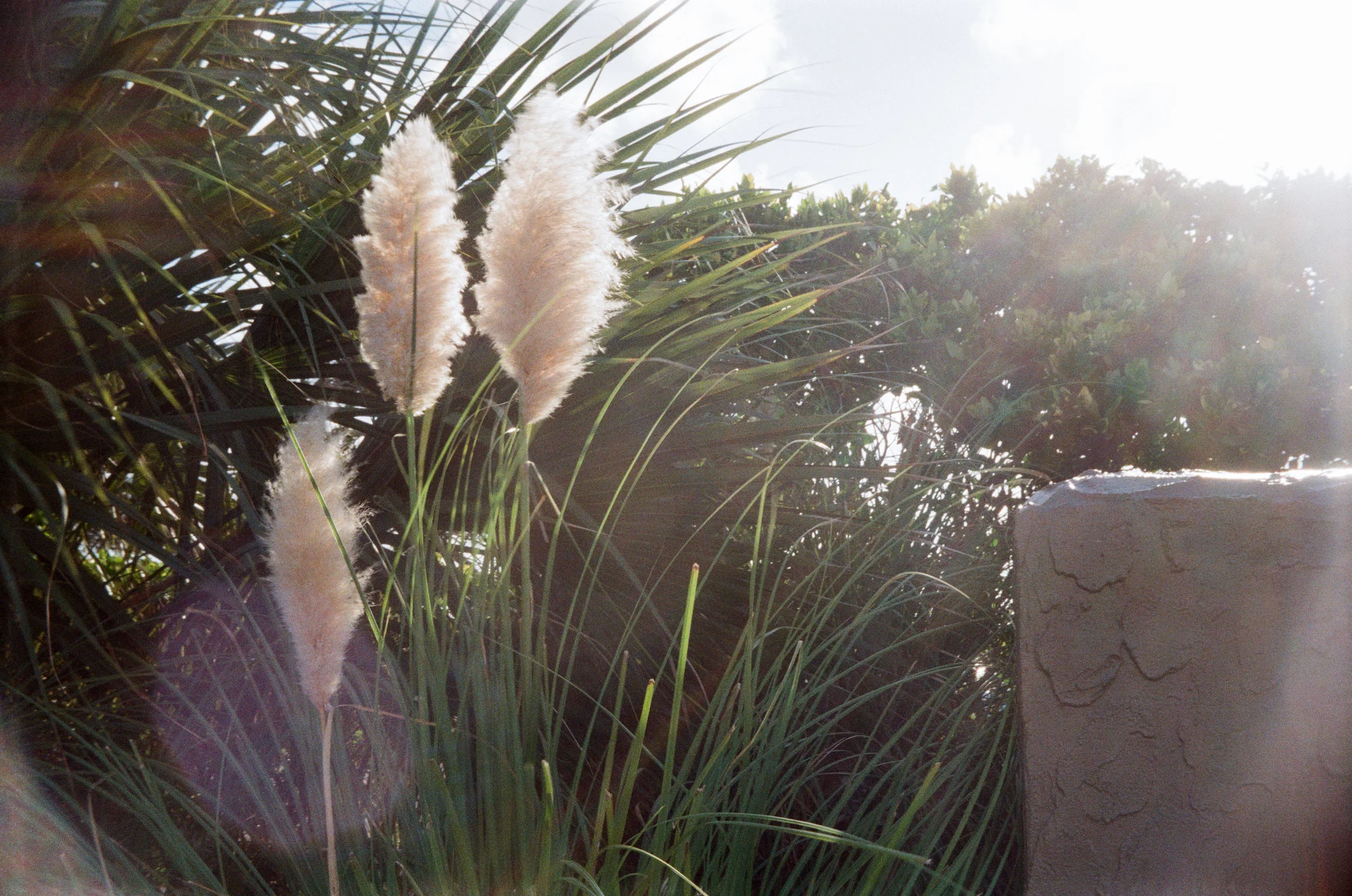 000012260013 20MB.jpeg