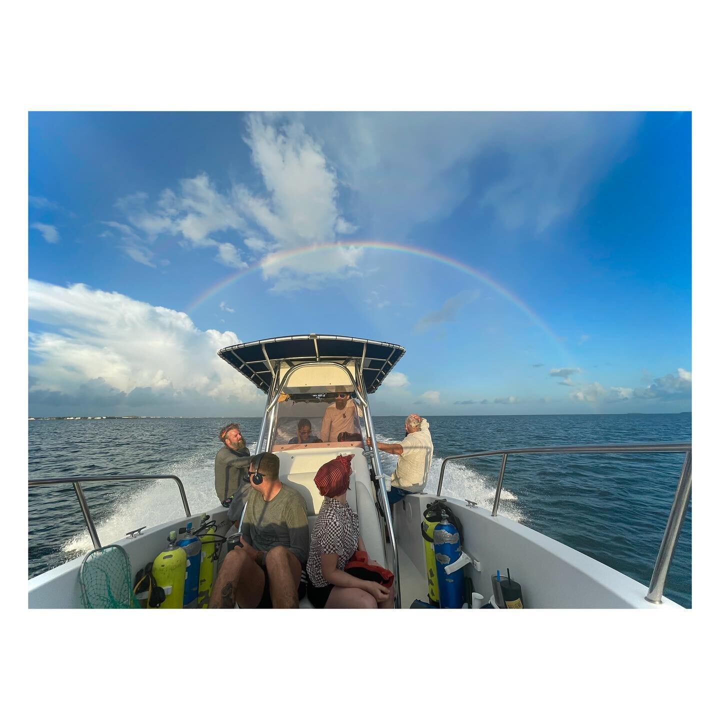 Rode on a boat through a full rainbow a few days ago, so I&rsquo;d say there&rsquo;s a lot that&rsquo;s really, really wonderful 🌈