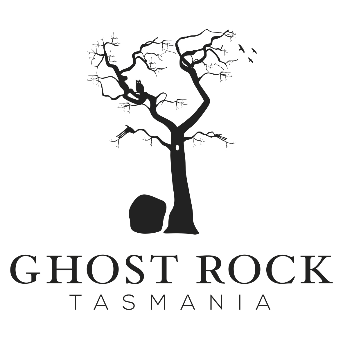 Ghost Rock Vineyard - 4 hectares