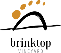 Brinktop Vineyard - 8 hectares