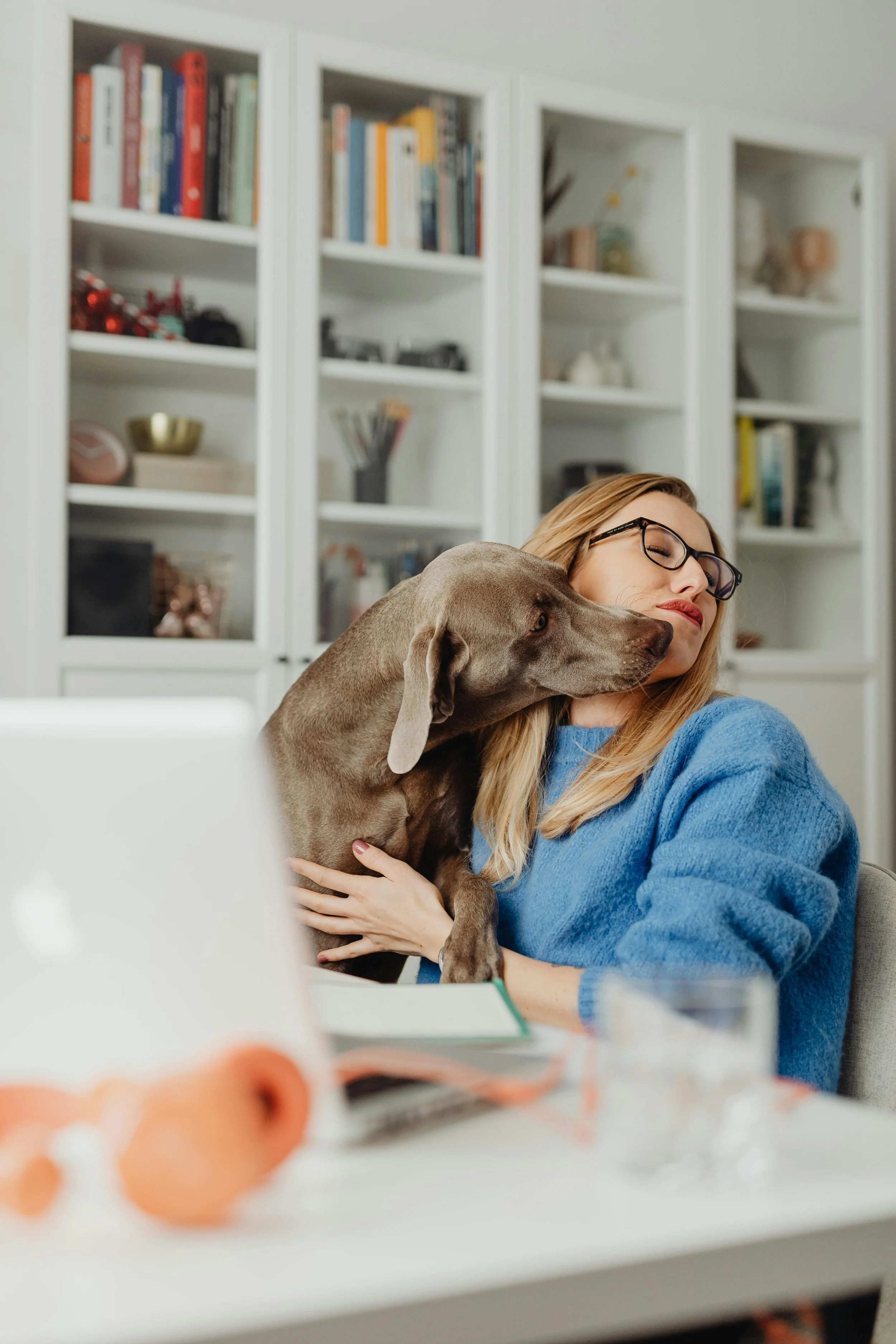 Gabriel Counseling Services pet friendly