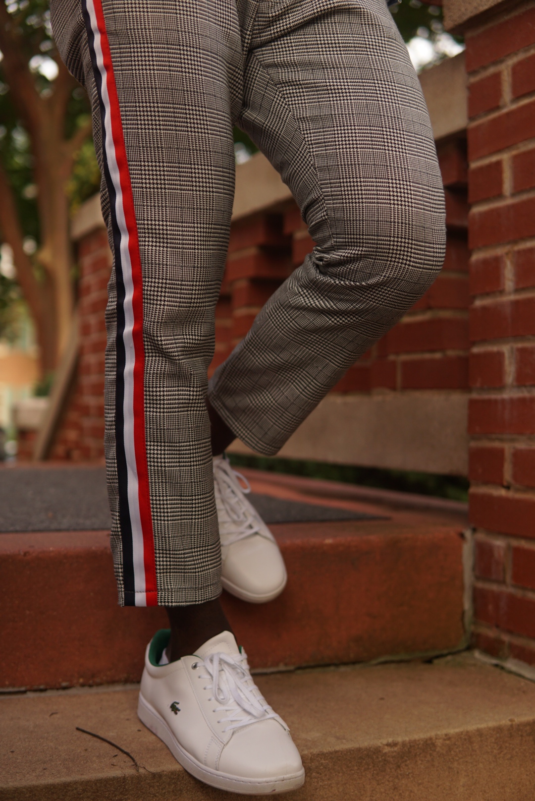 LRG_DSC05148.jpeg