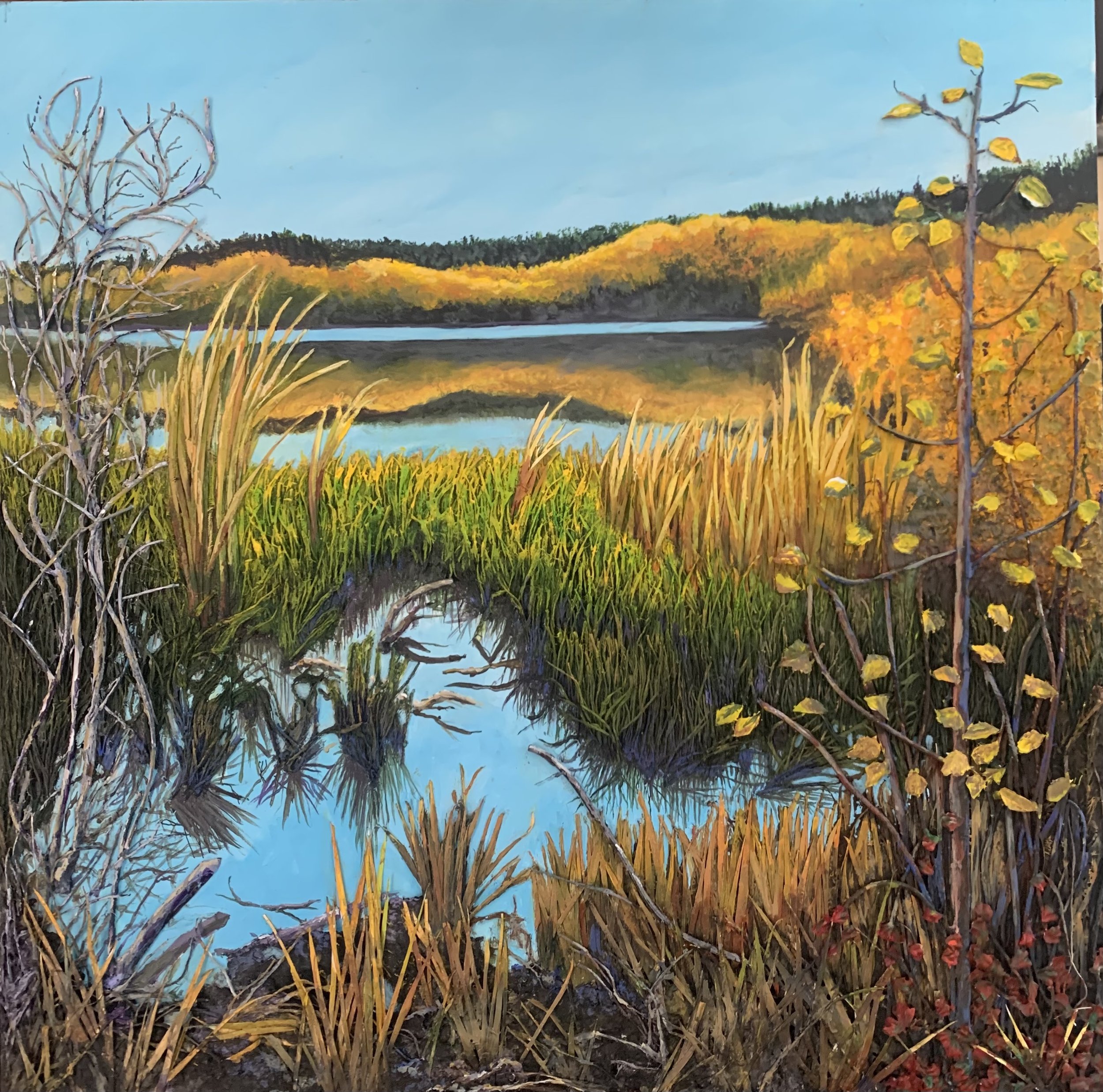 A Beavers Home.JPG