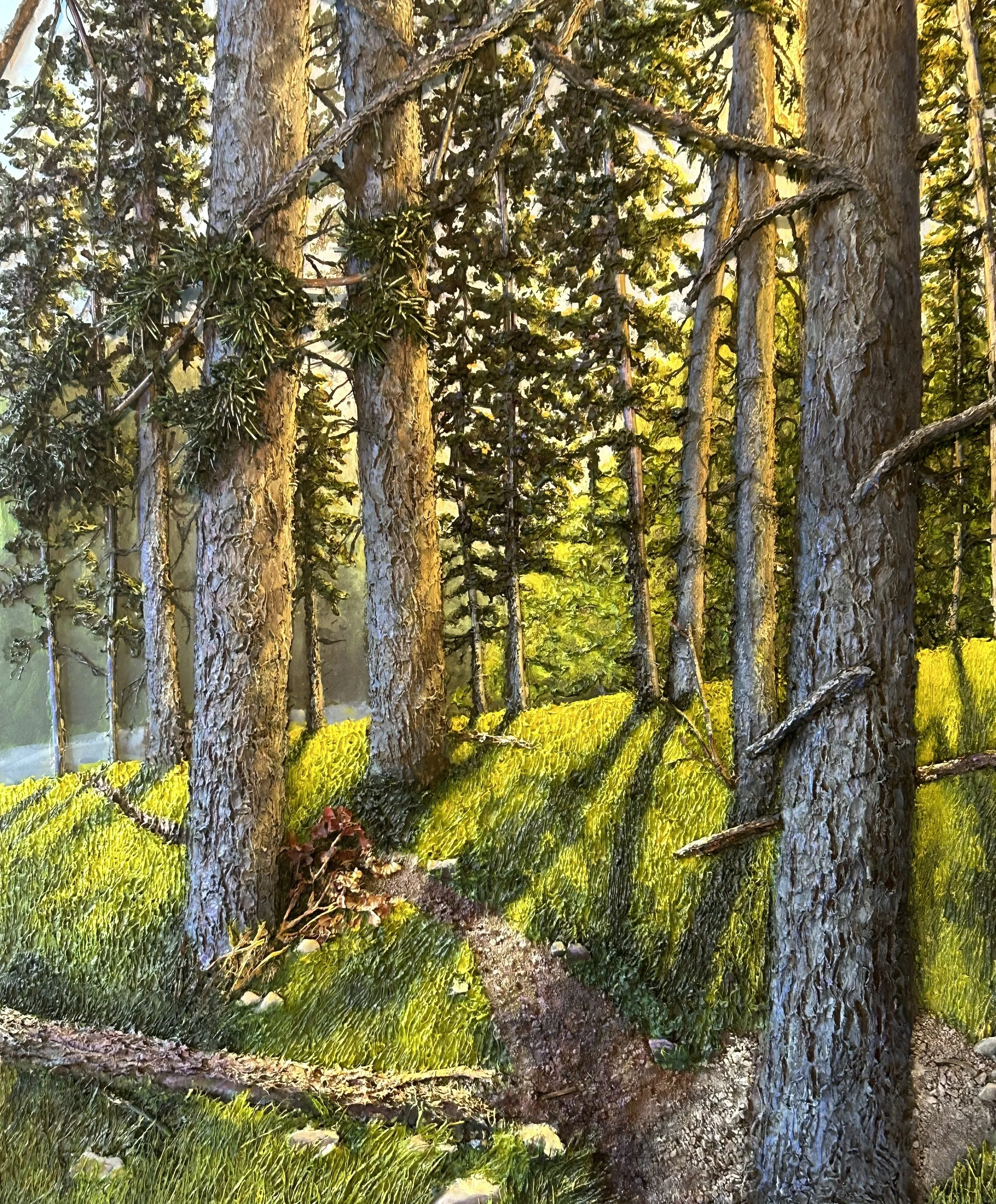 Walk in the Trees Banff