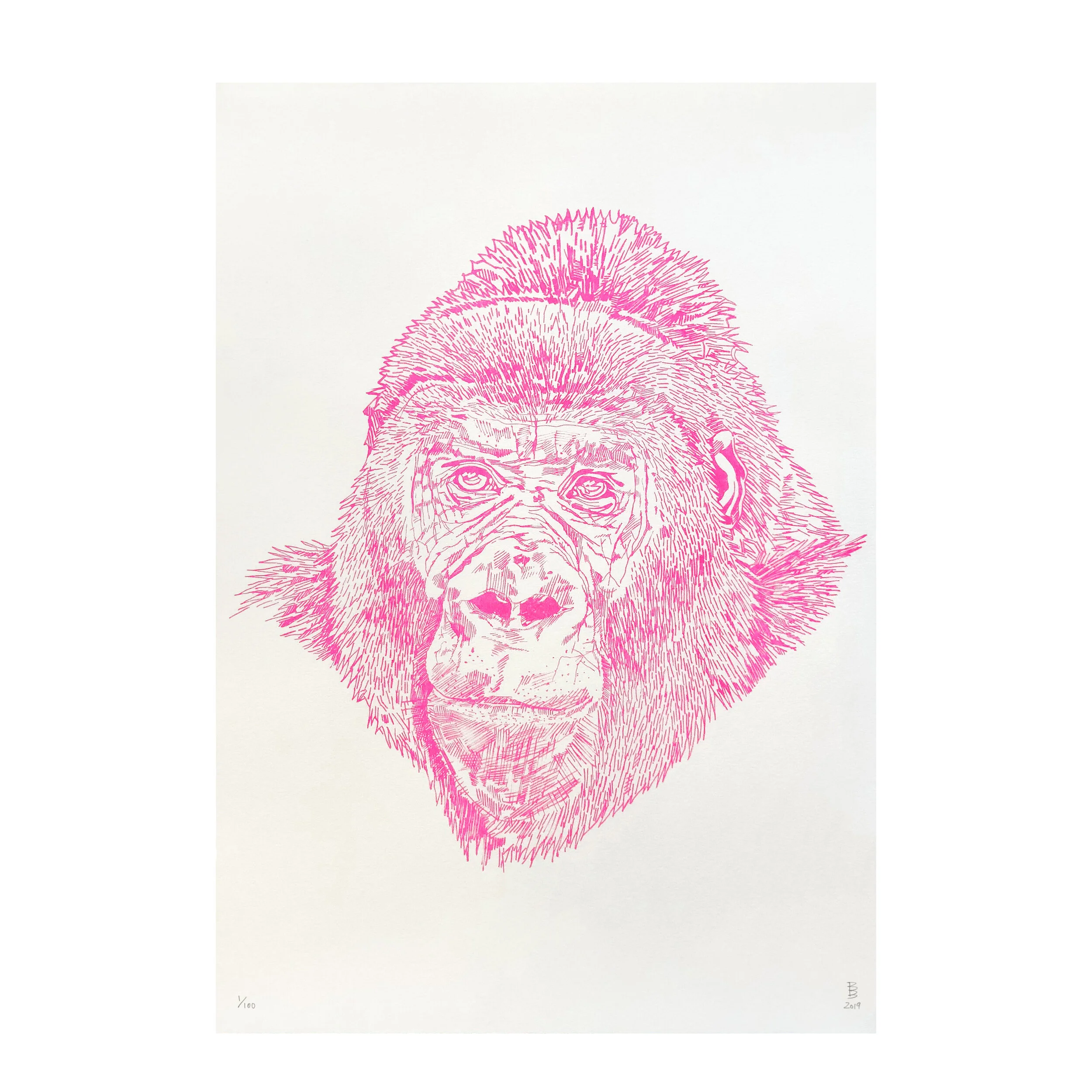 Cross River Gorilla Portrait - Fluo Risograph Print