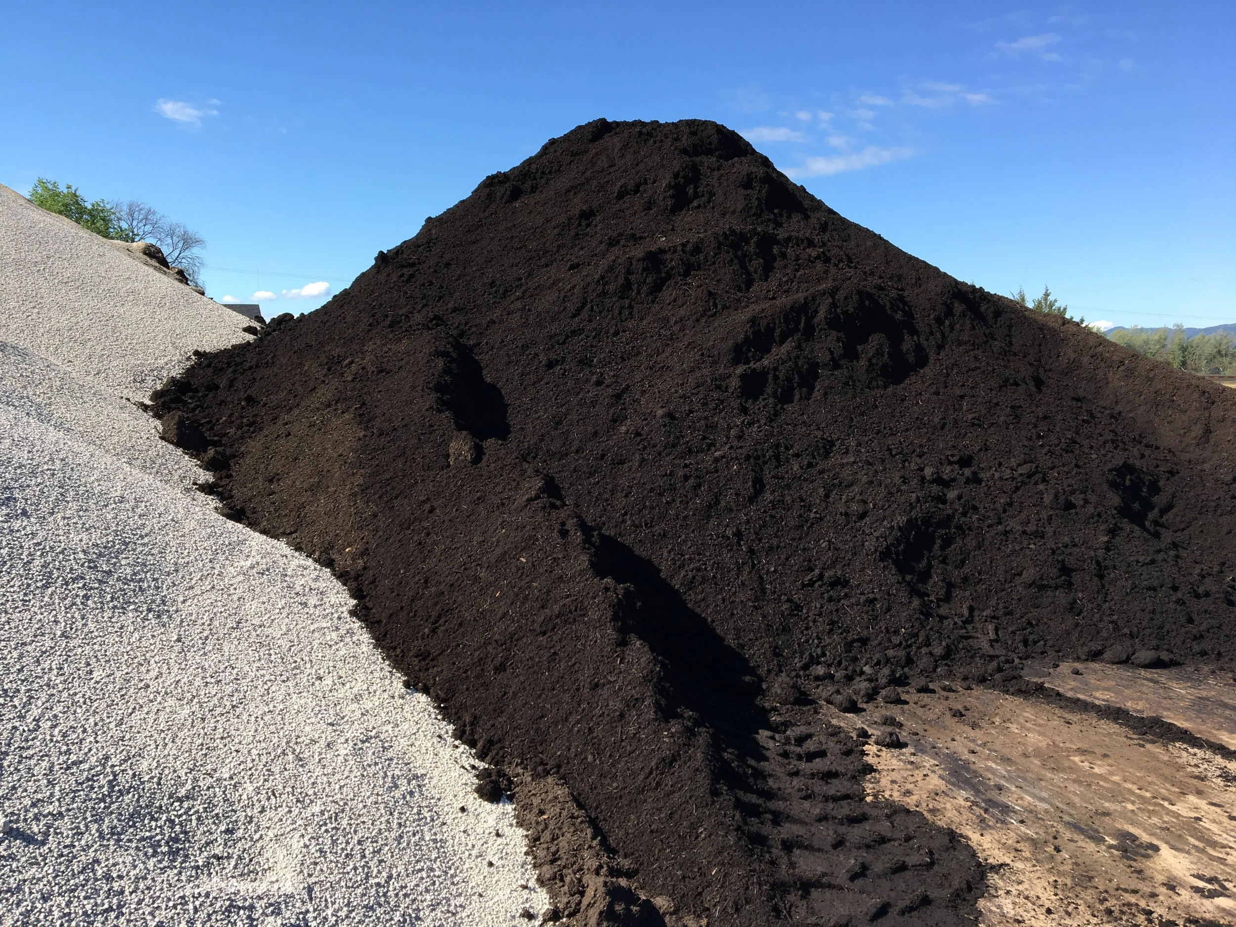 garden compost.JPG