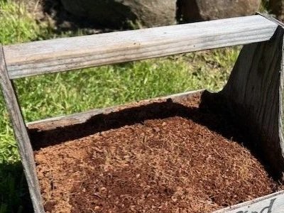 Can You Reuse Potting Soil? Absolutely! But Here's What You Should Know