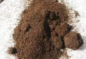 HighPhosphorousBatGuano1.jpg