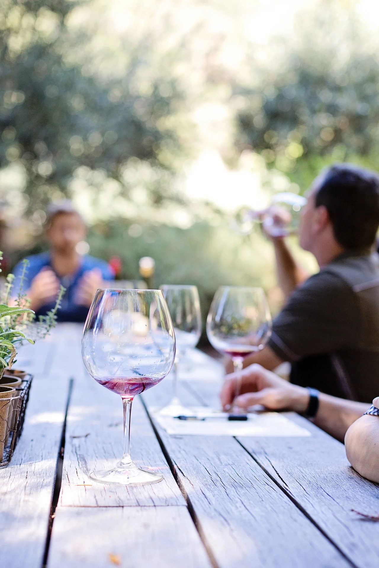 wine-tasting-1952074_1920.jpg