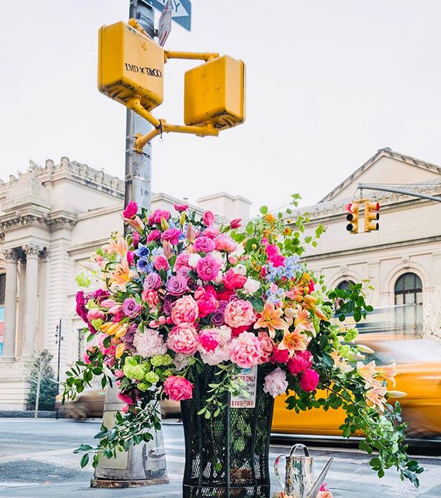 Wow! A beautiful Monday filled with surprises and endless new beginnings...🗽🌈🕊
.
.
#mondaymood #beuty #newyorkstateofmind #flowers #endless #newbeginnings #partofmoreglobal