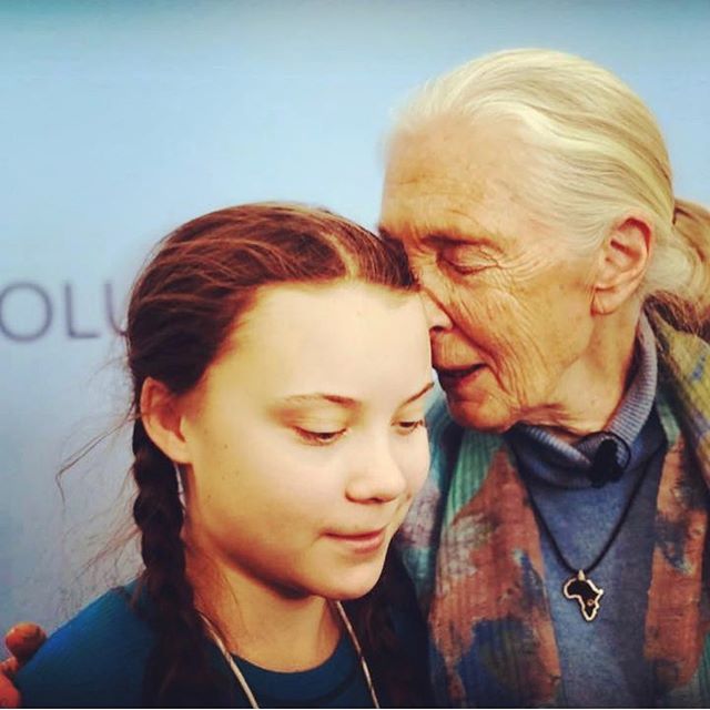 Young brave leaders demand wise solutions. It&rsquo;s up to mature adults to start acting with honor and love for Mother Earth, present and future generations 🙏🏽🌍❤️ .
.
#fridaysforfuture #globalclimatestrike #gretathunberg #wisdom #janegoodall #le