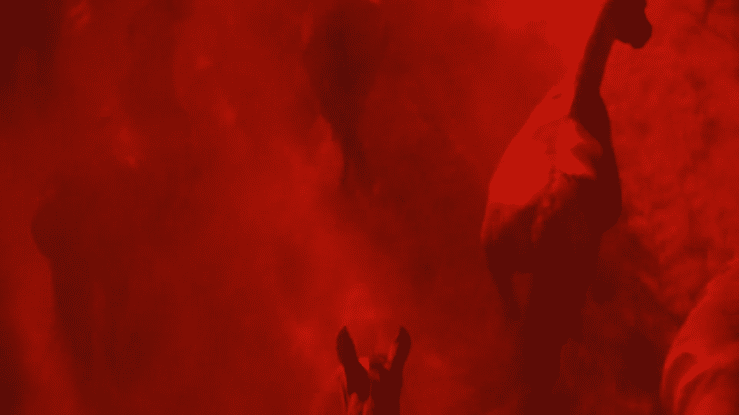 AllSaints Spring 2026 - Wild Reverie-high (1).gif