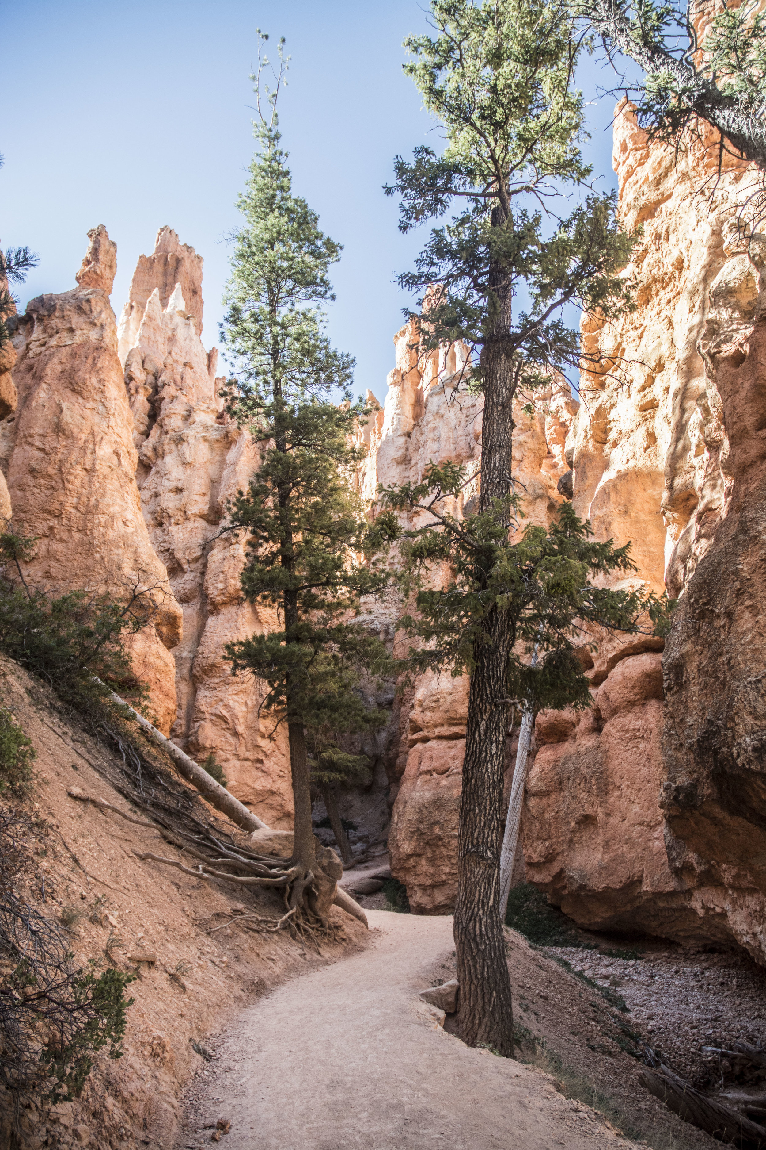 Bryce Canyon NP, USA. 2015