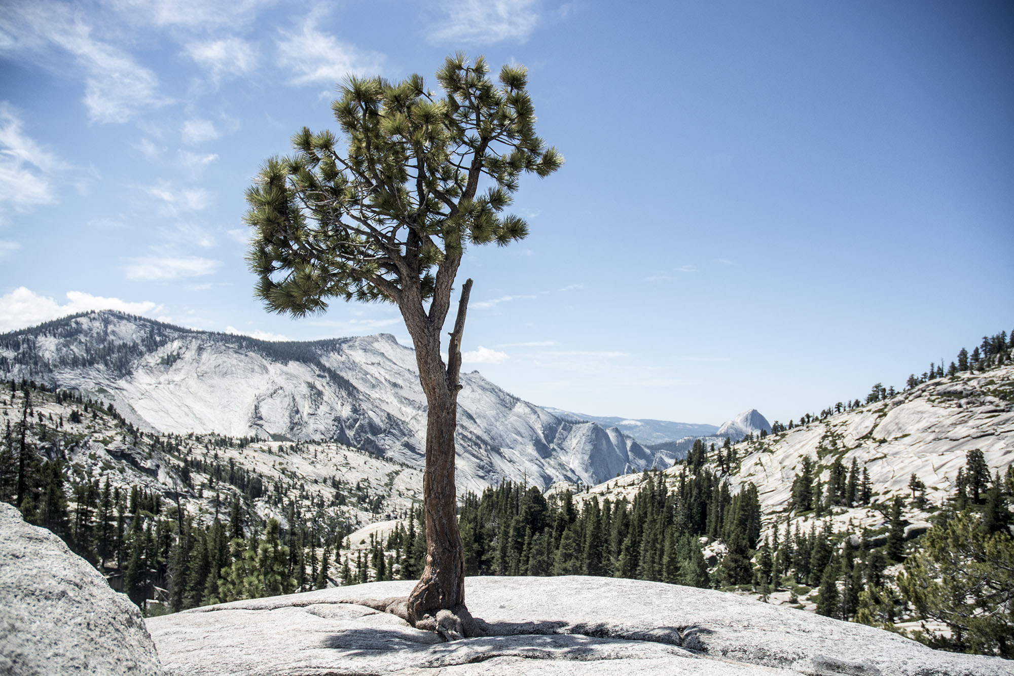 Yosemite NP, USA. 2015