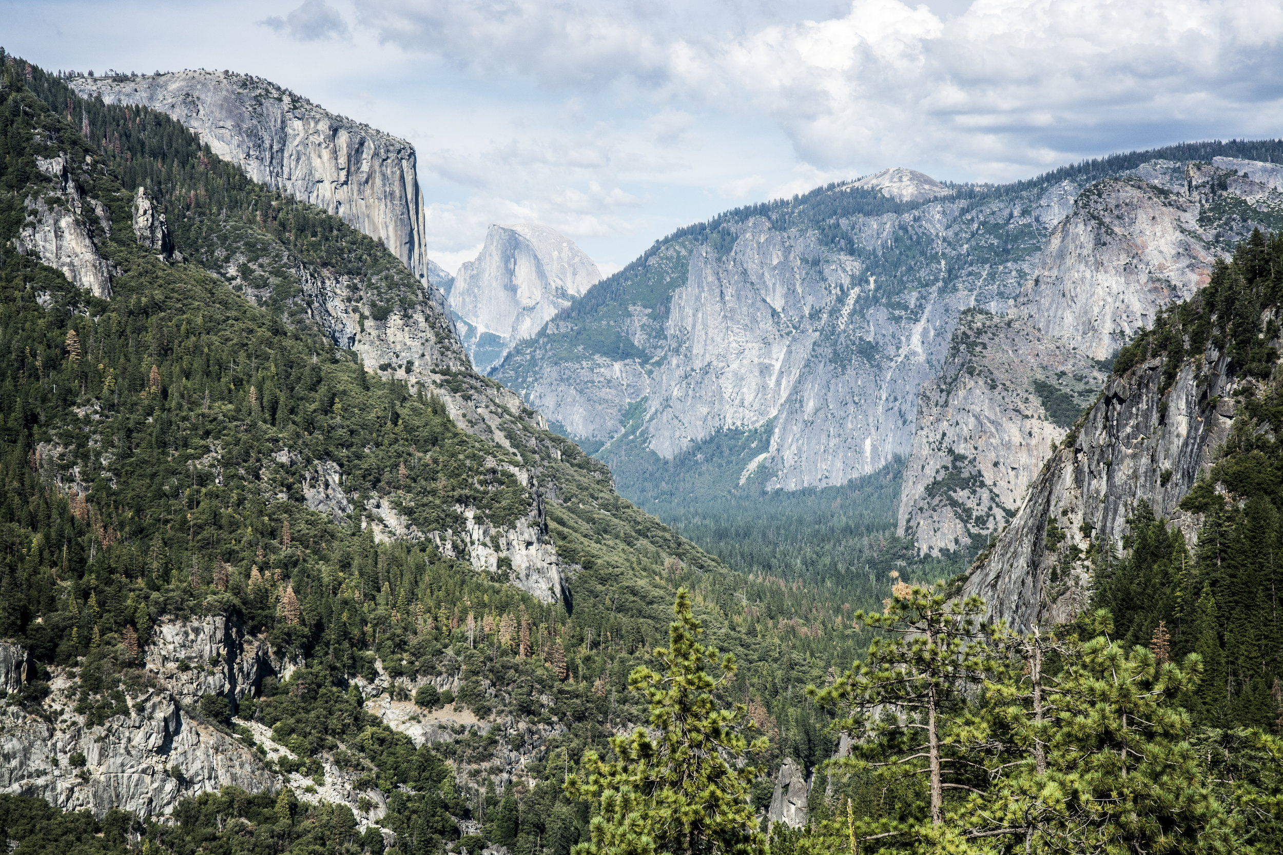 Yosemite NP, USA. 2015