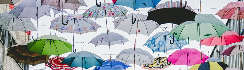 BANNER13.jpg