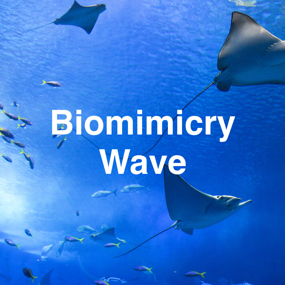 Biomimicry Wave