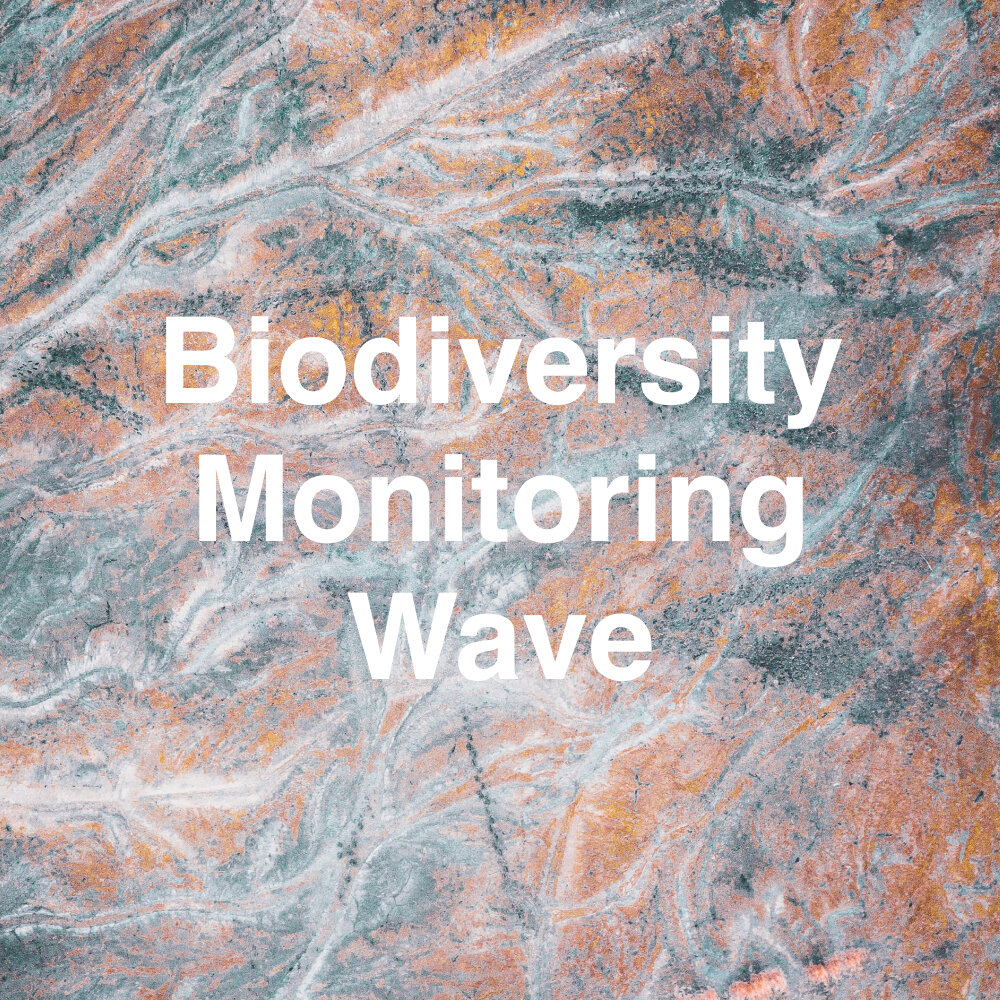 Biodiversity Monitoring Wave